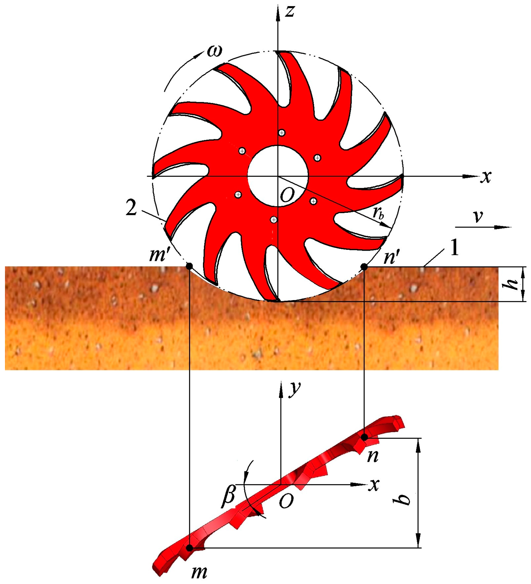 Agronomy 15 00034 g008