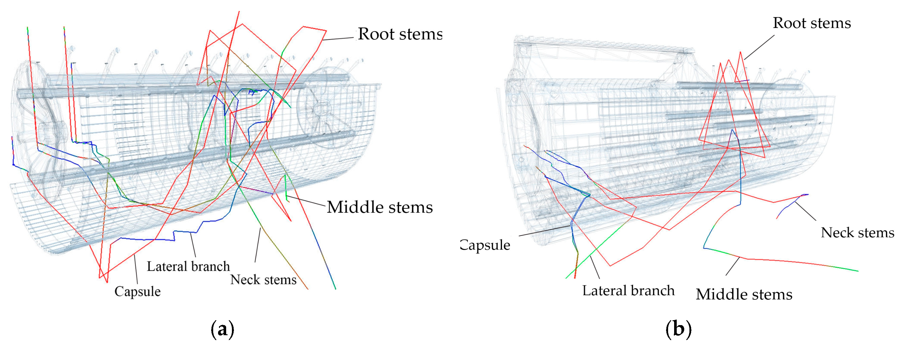 Agronomy 15 00036 g017