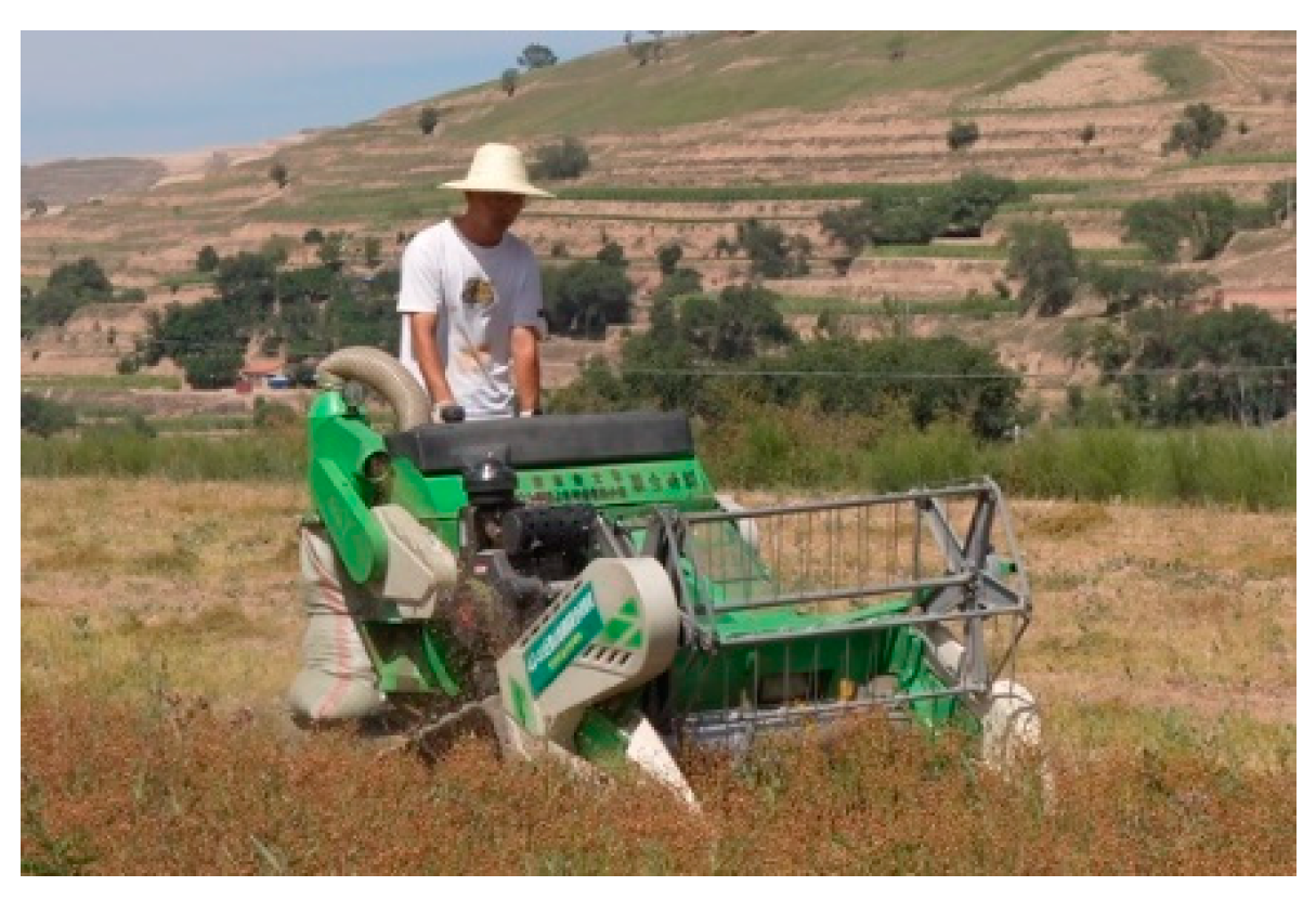 Agronomy 15 00036 g020