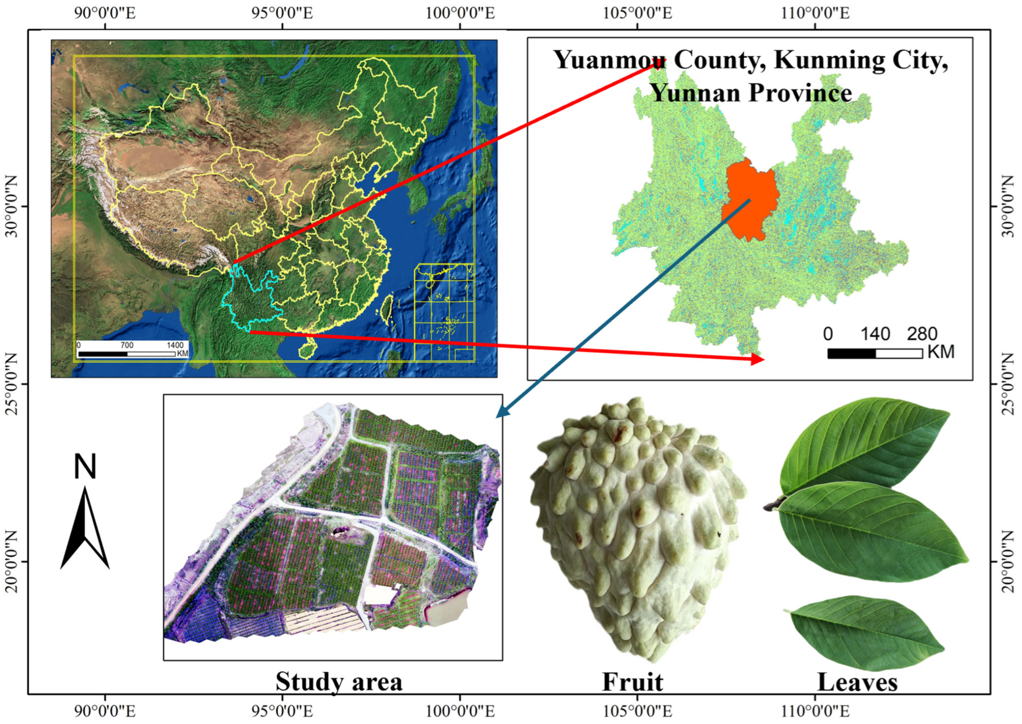 Agronomy 15 00038 g001