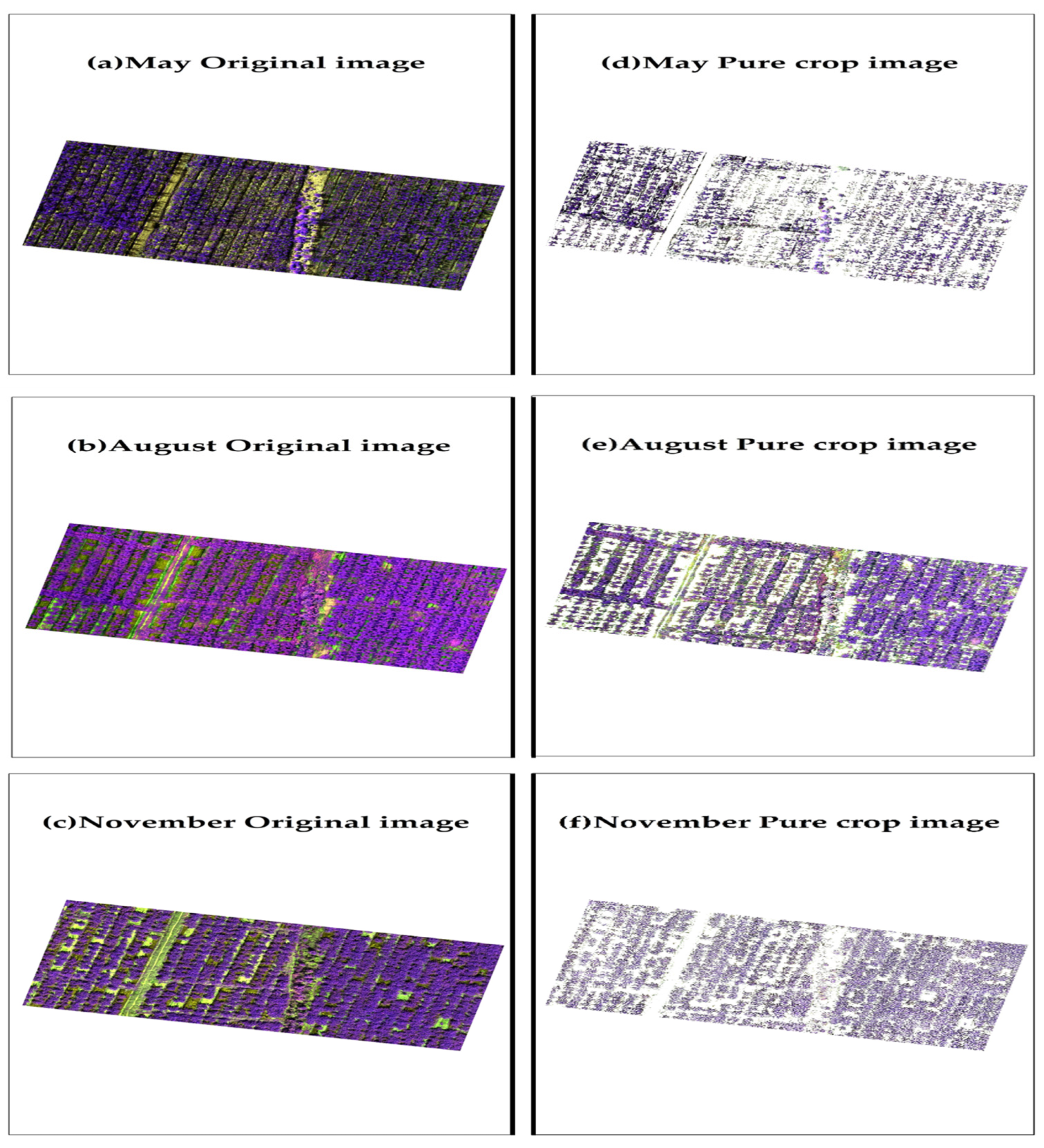 Agronomy 15 00038 g003