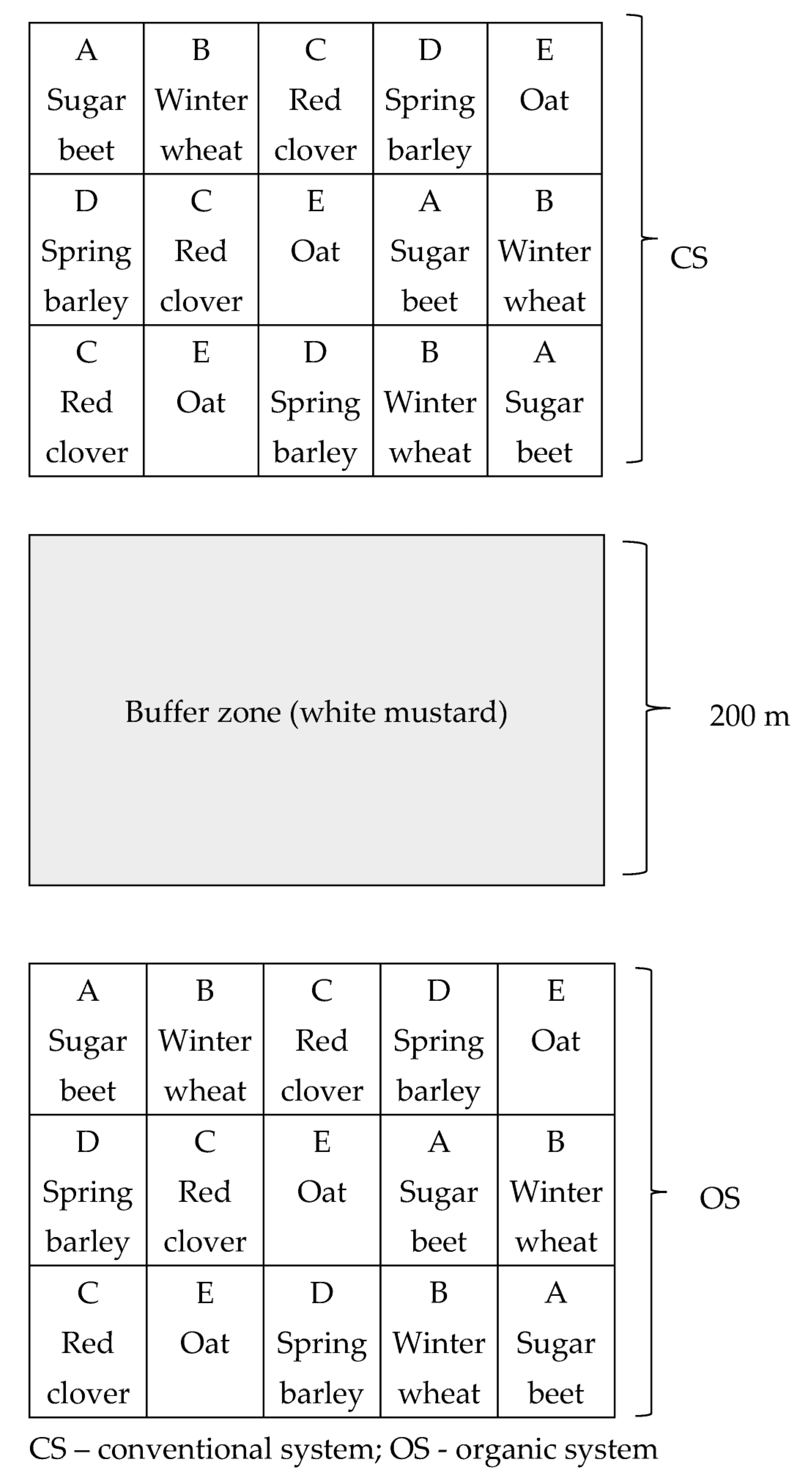 Agronomy 15 00039 g001