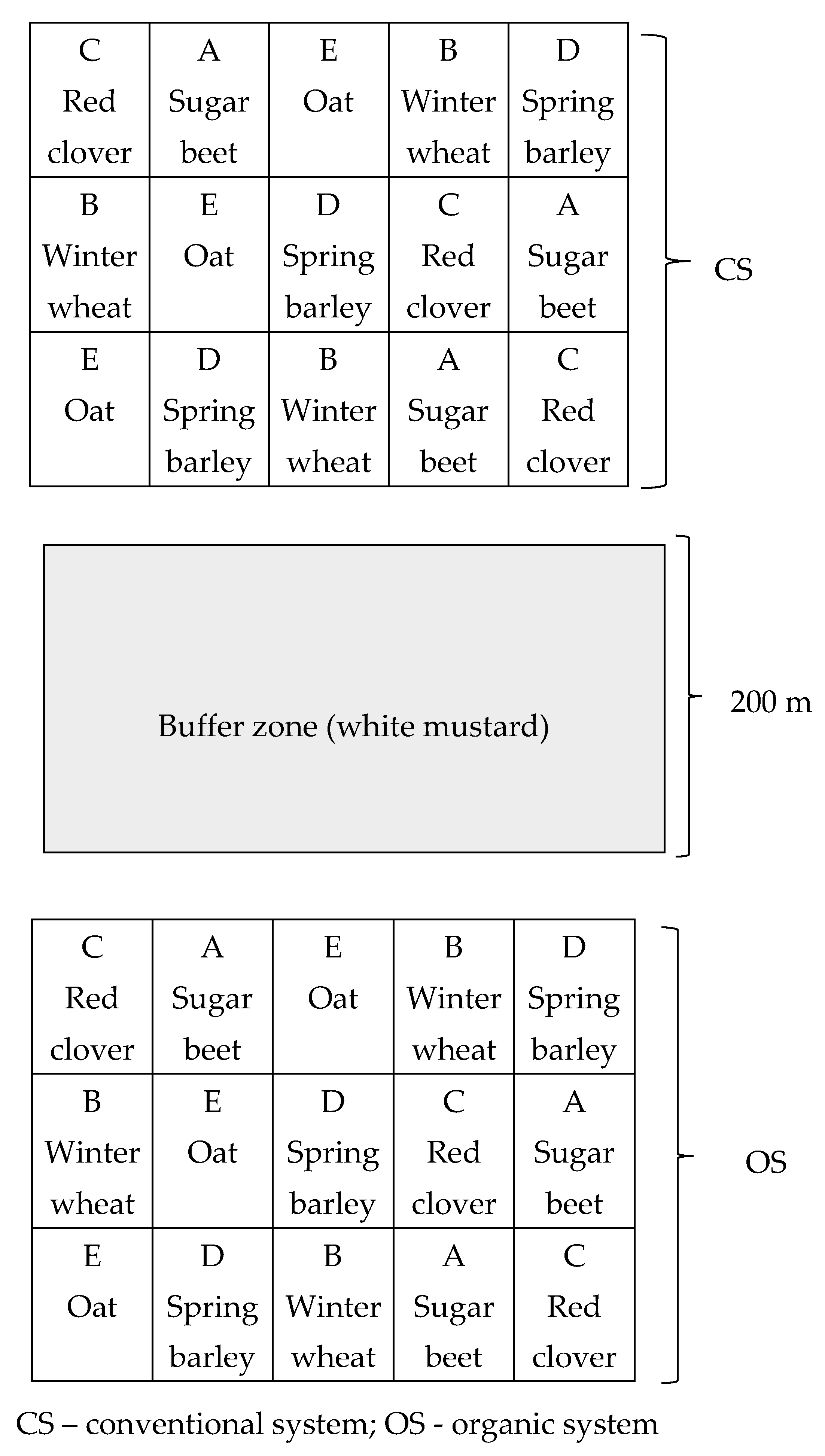 Agronomy 15 00039 g003