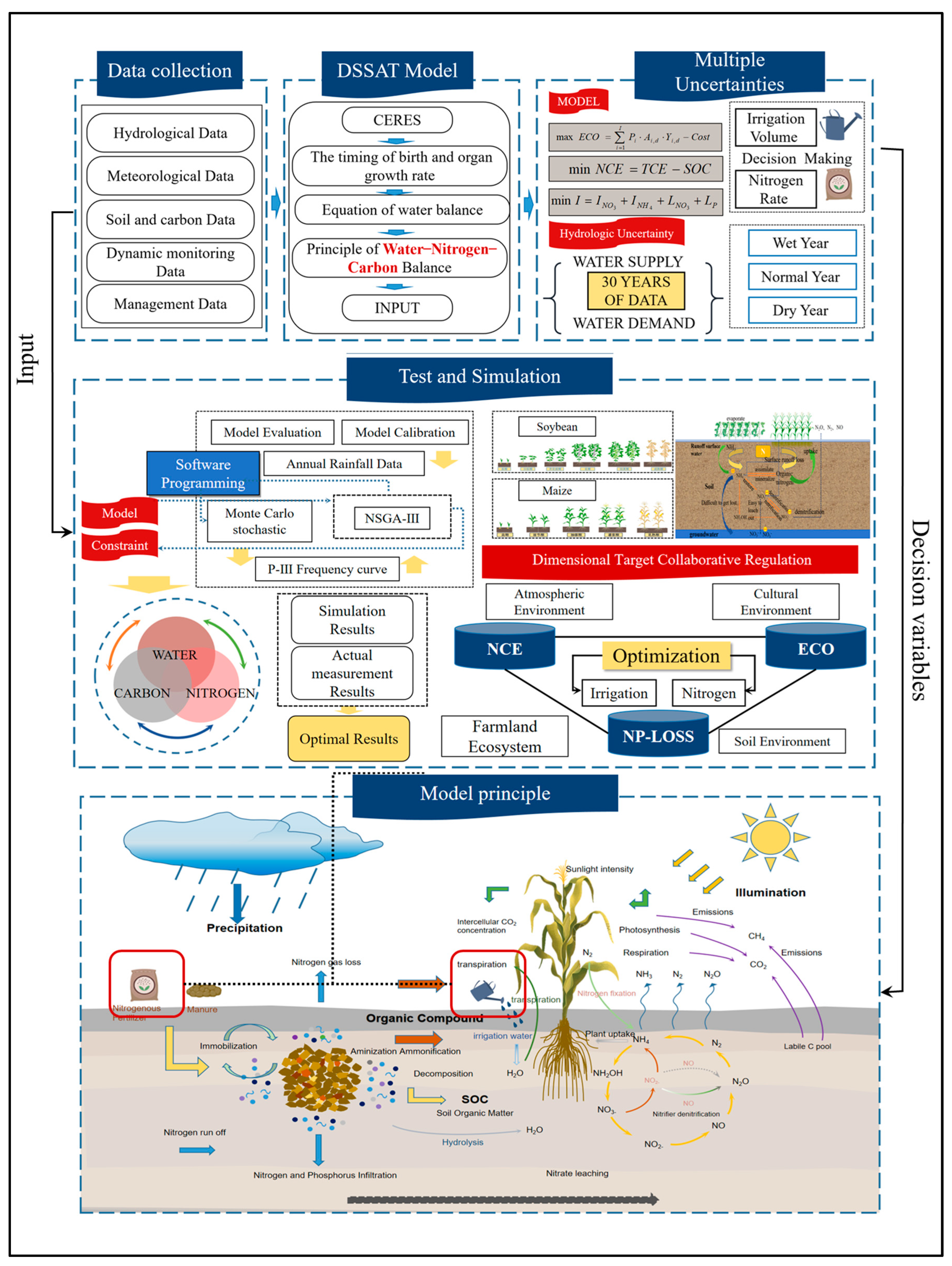 Agronomy 15 00041 g001