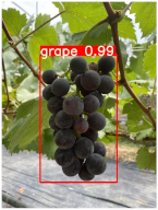 Agronomy 15 00042 i003