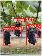 Agronomy 15 00042 i006