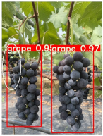 Agronomy 15 00042 i008