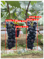 Agronomy 15 00042 i015