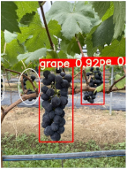 Agronomy 15 00042 i020