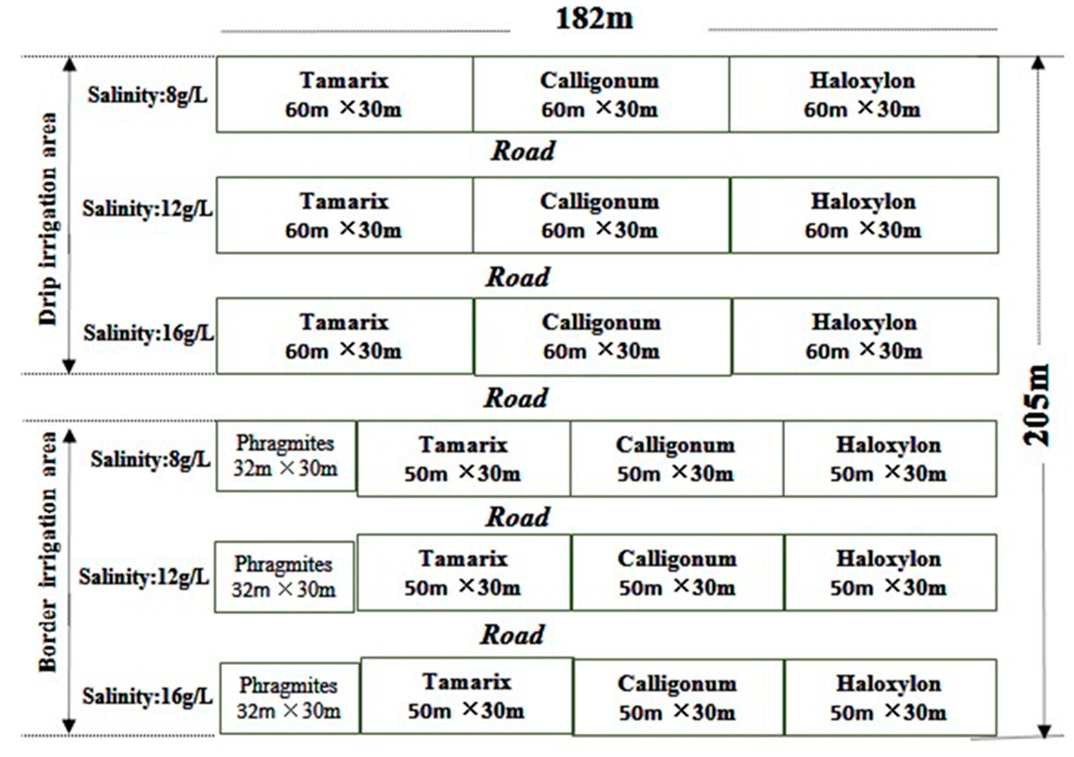 Agronomy 15 00043 g002
