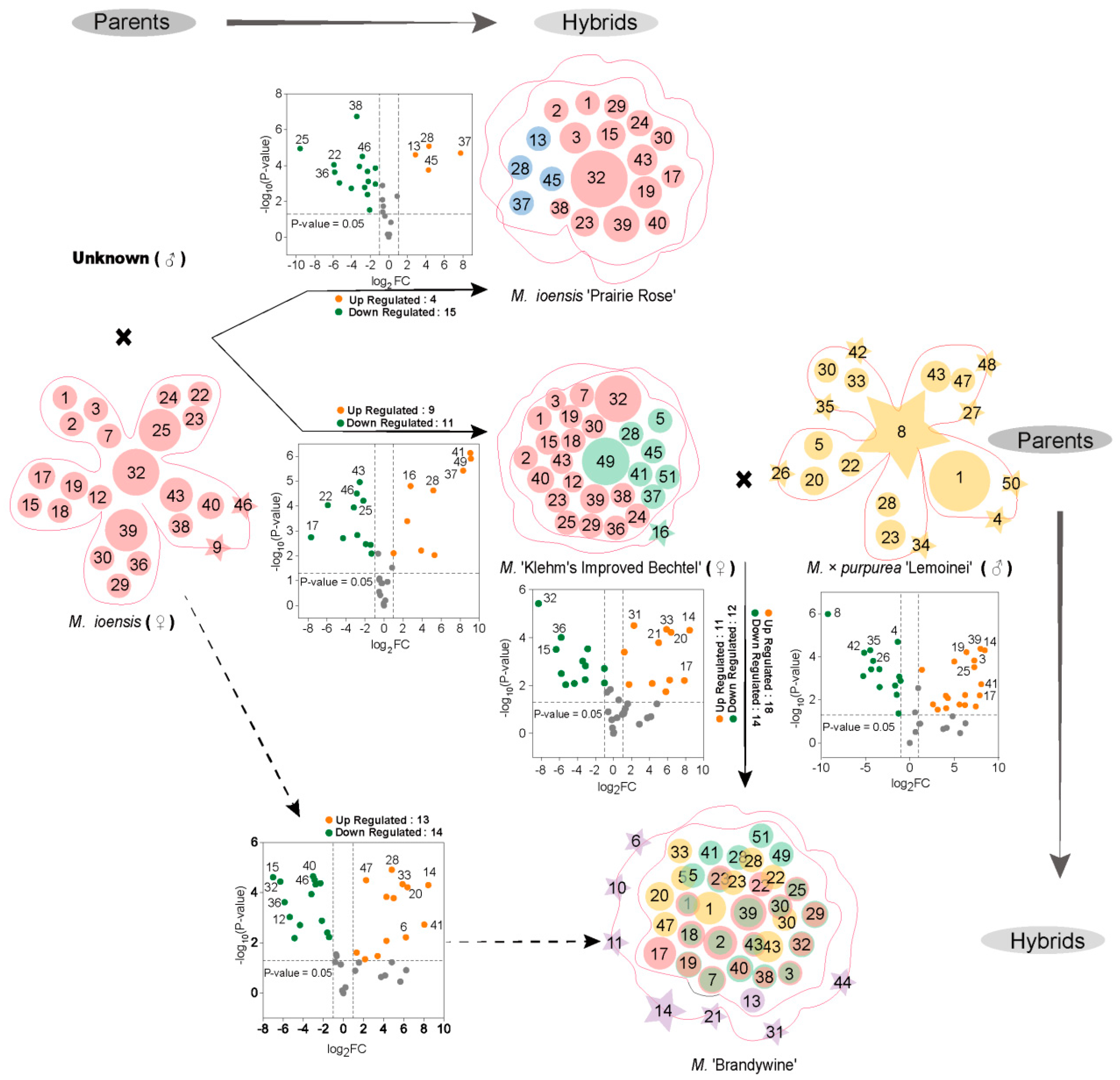 Agronomy 15 00045 g005