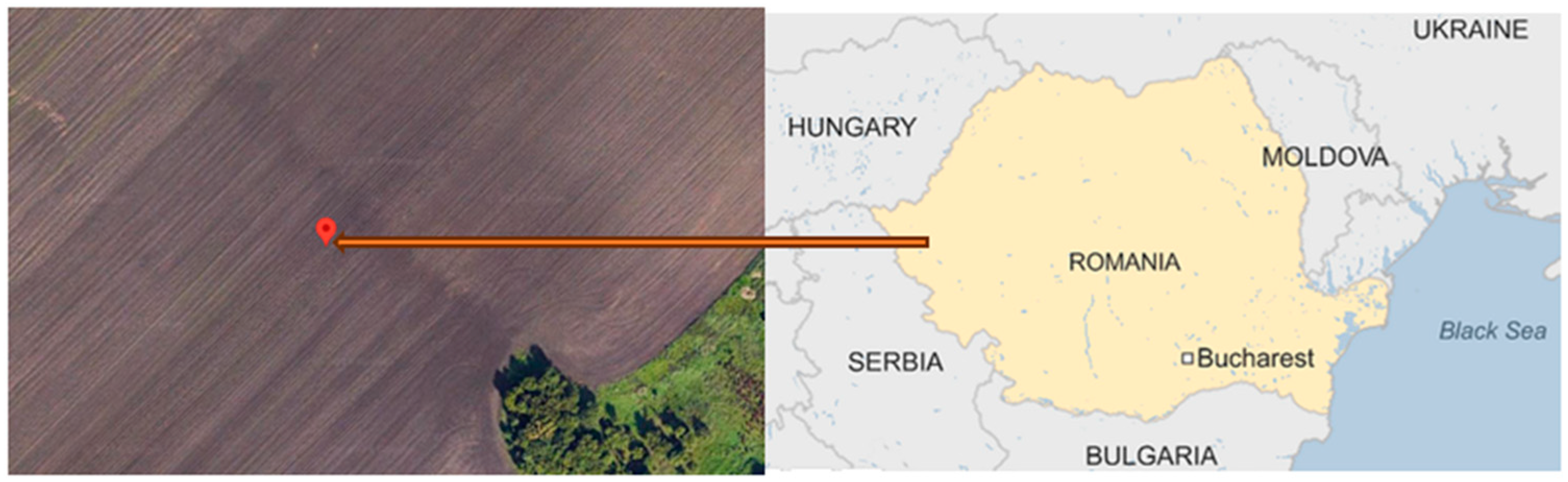 Agronomy 15 00049 g002