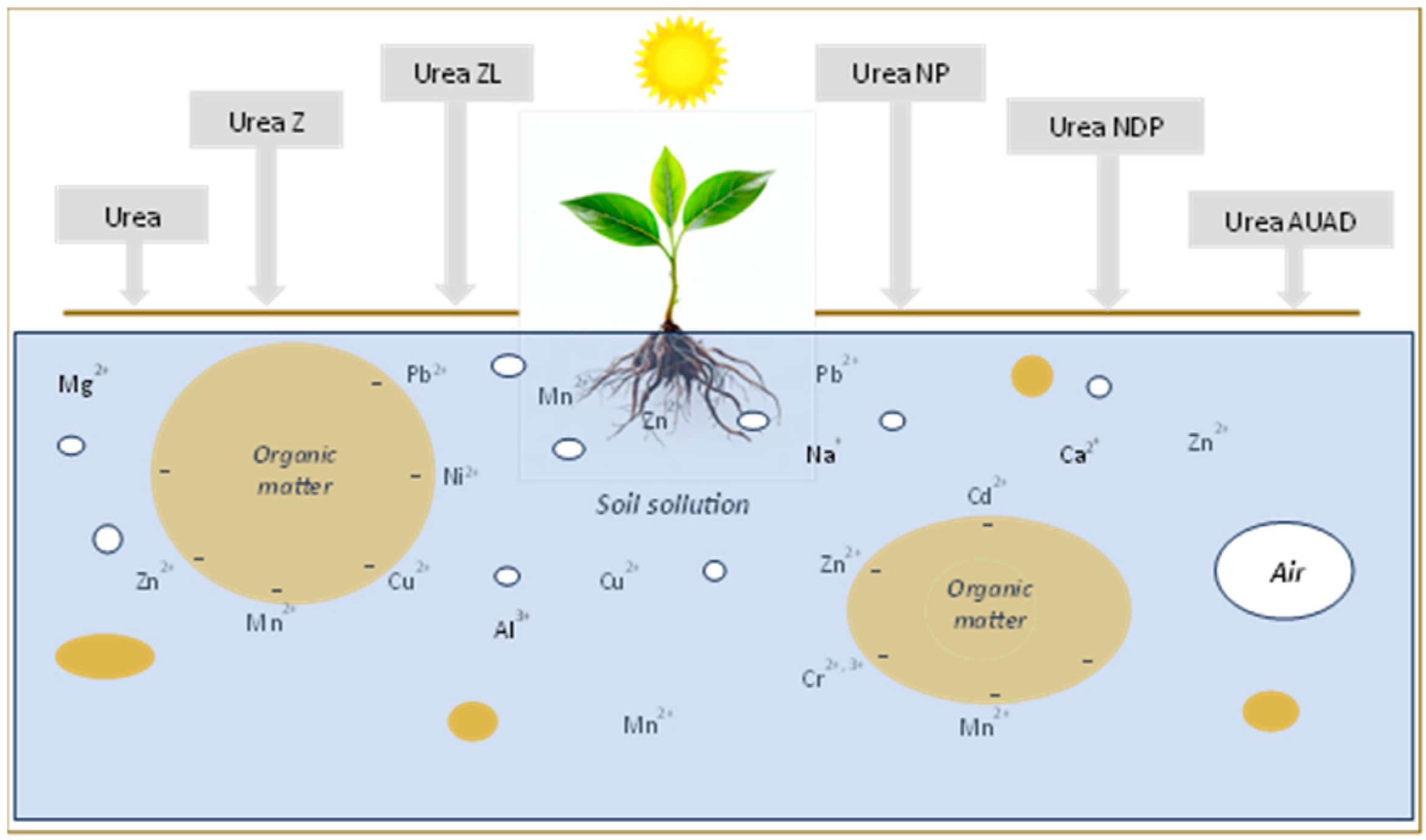 Agronomy 15 00049 g003