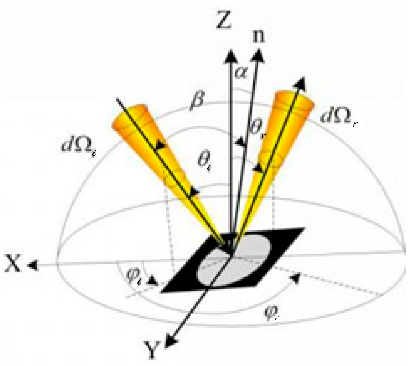 Agronomy 15 00050 g002