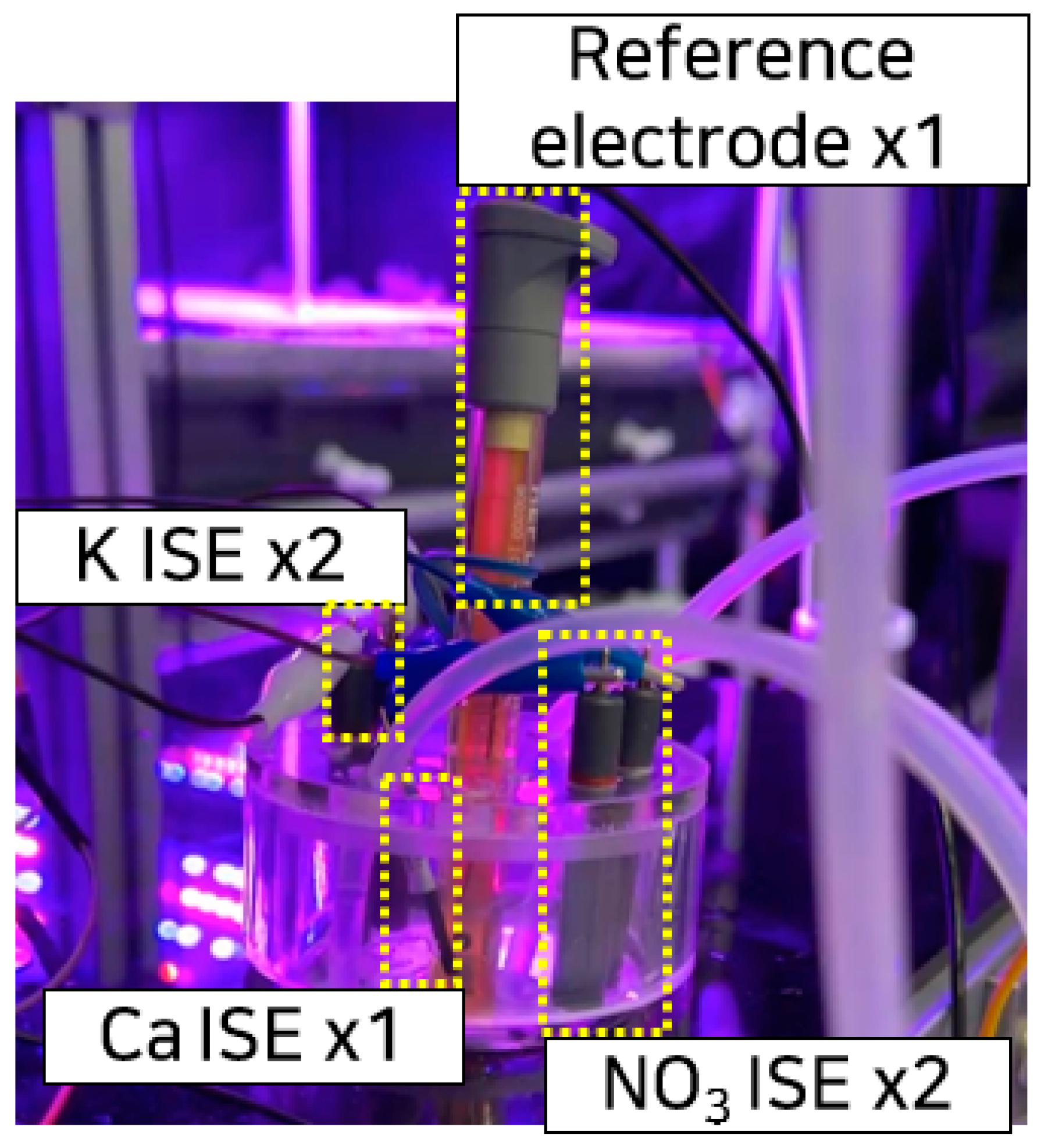 Agronomy 15 00051 g002
