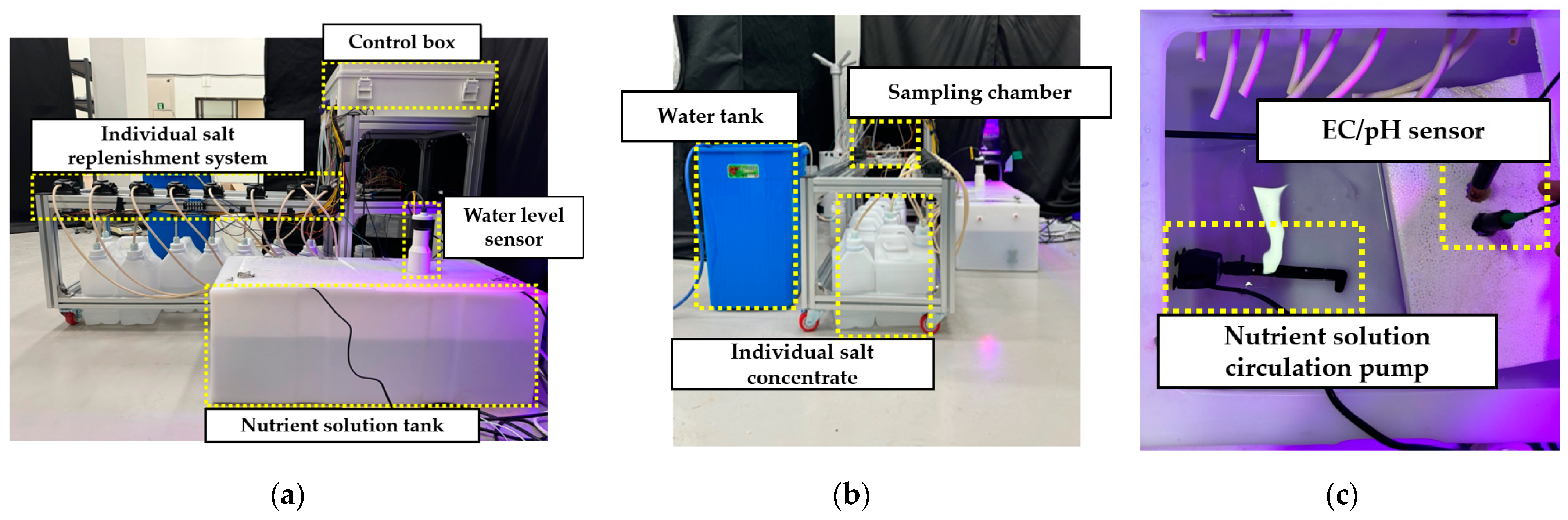 Agronomy 15 00051 g007