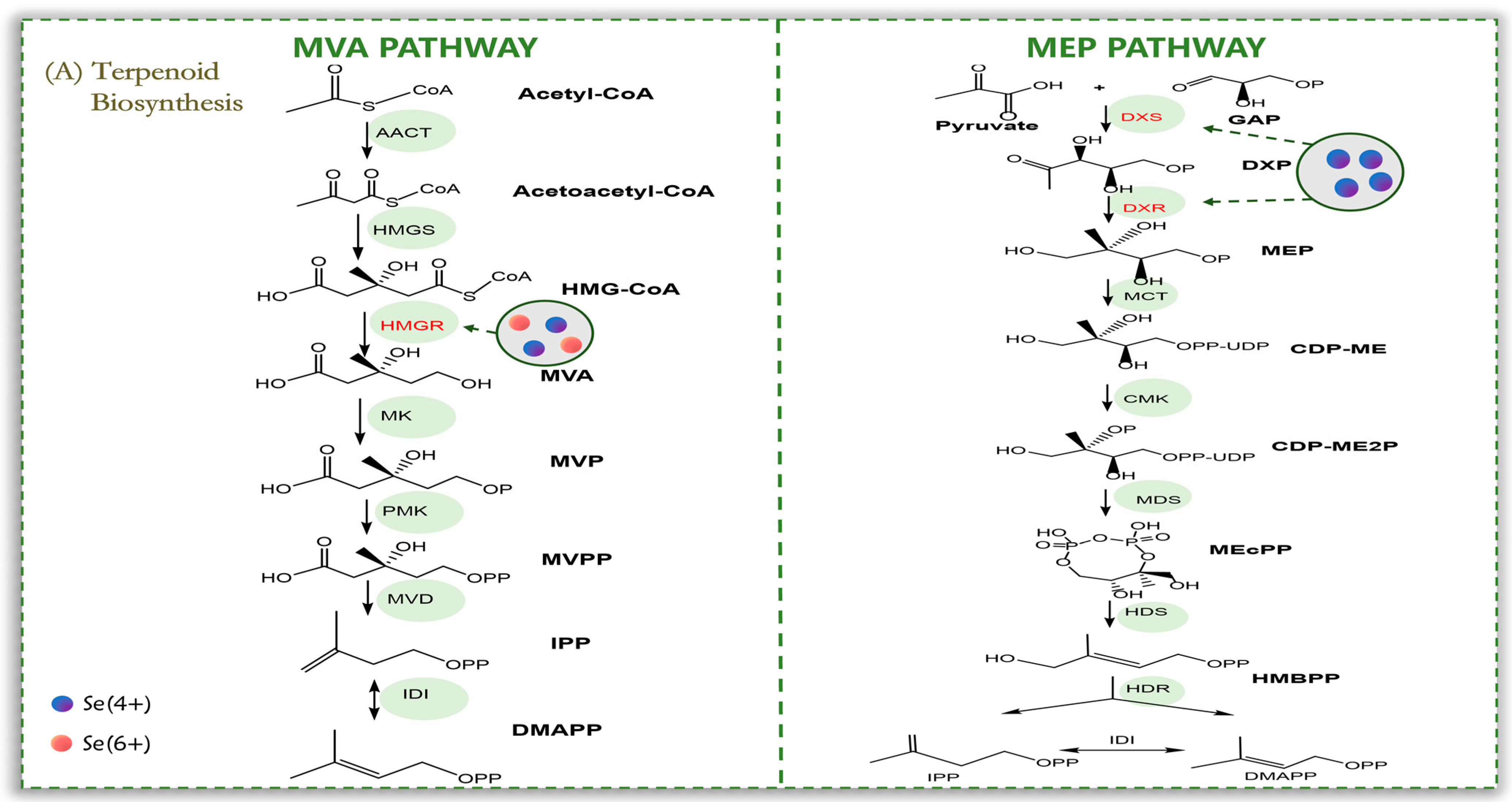 Agronomy 15 00054 g003a