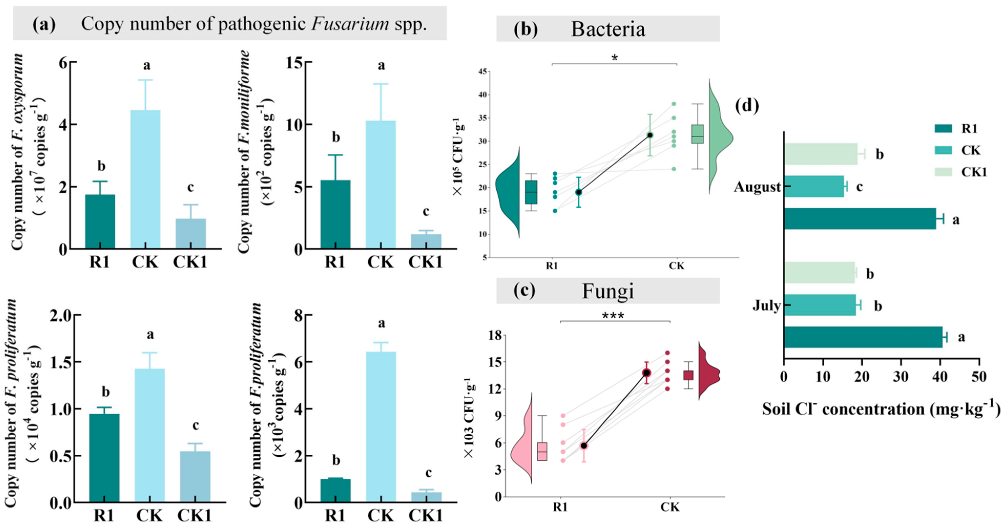 Agronomy 15 00059 g003