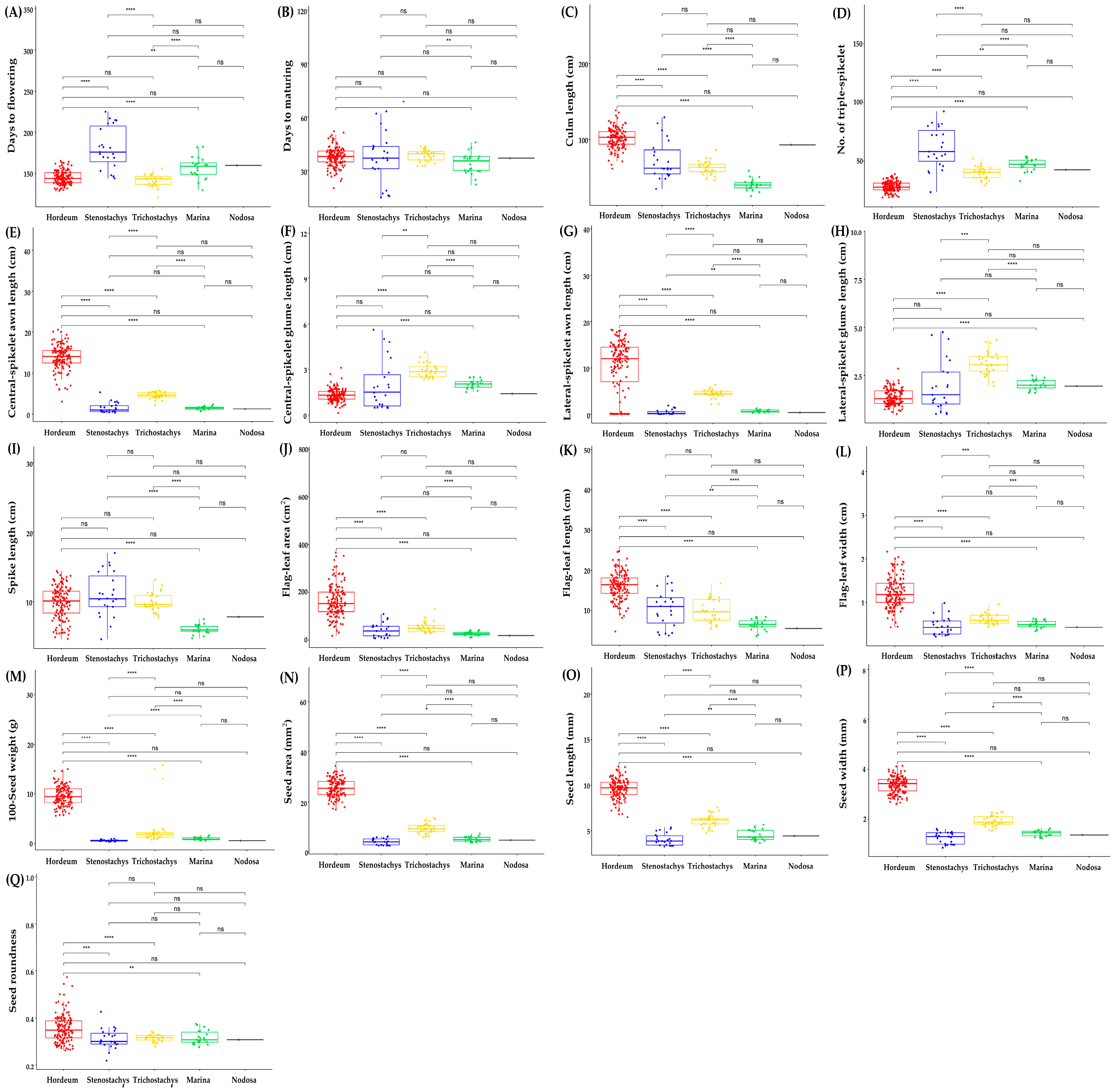 Agronomy 15 00060 g001