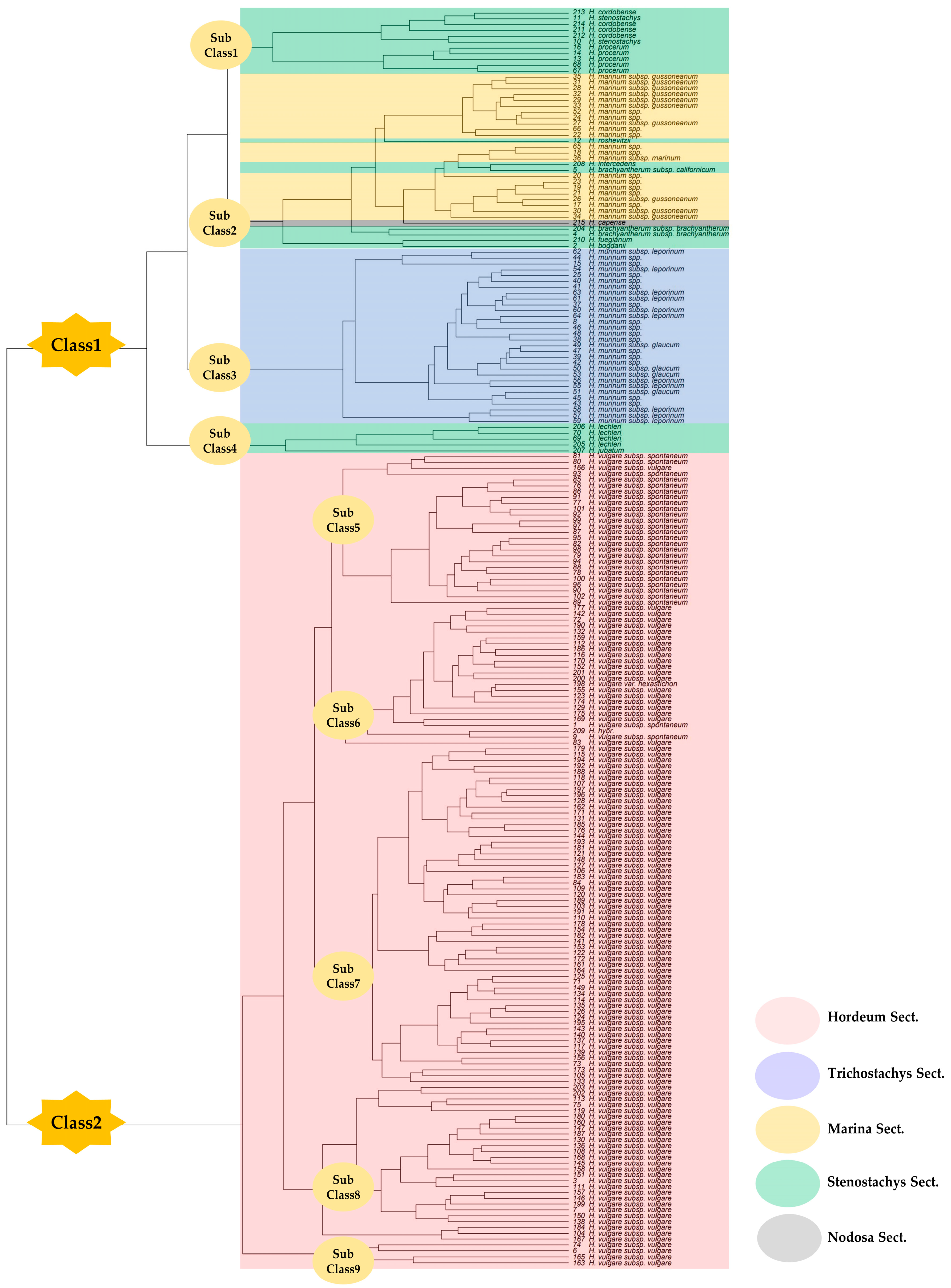 Agronomy 15 00060 g002