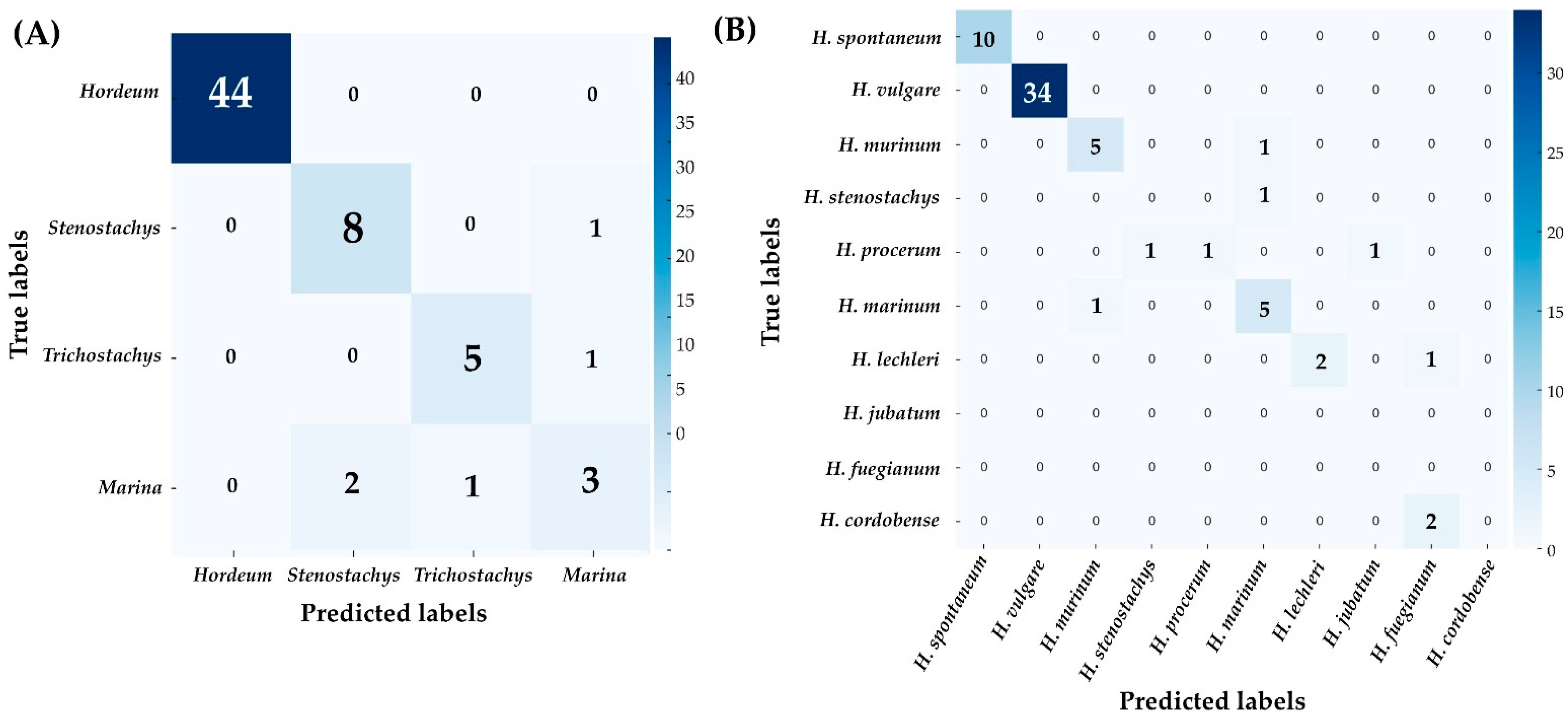 Agronomy 15 00060 g004