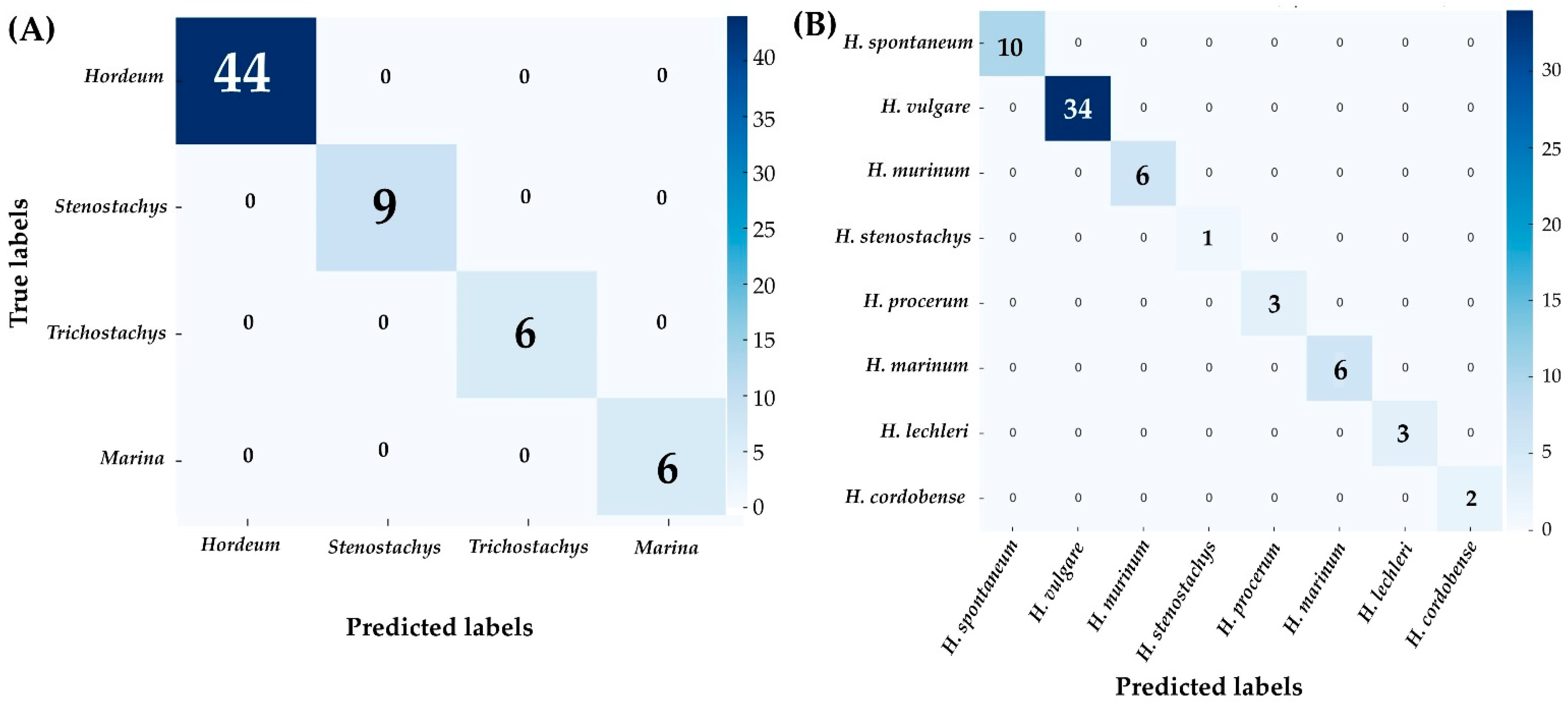 Agronomy 15 00060 g006