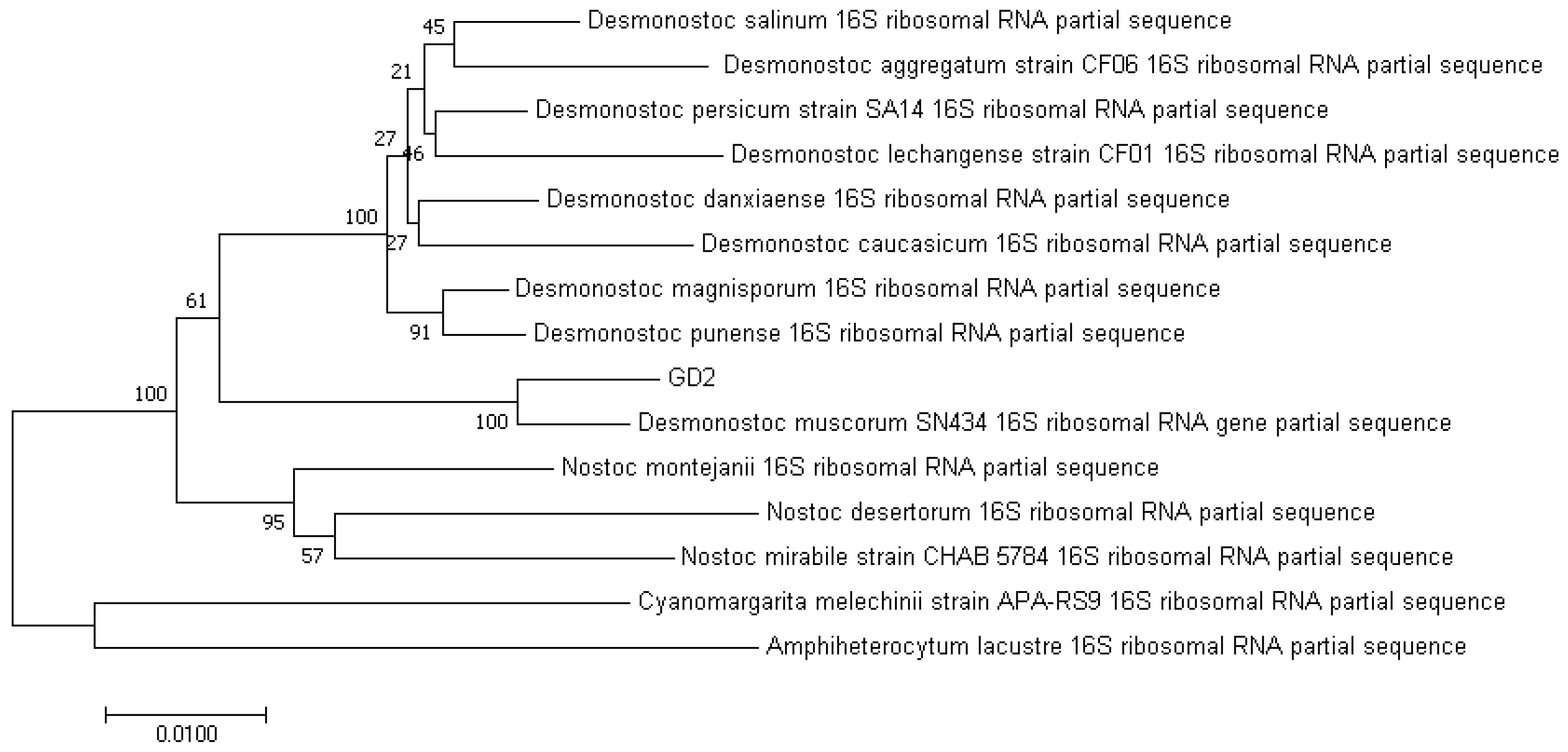 Agronomy 15 00062 g004