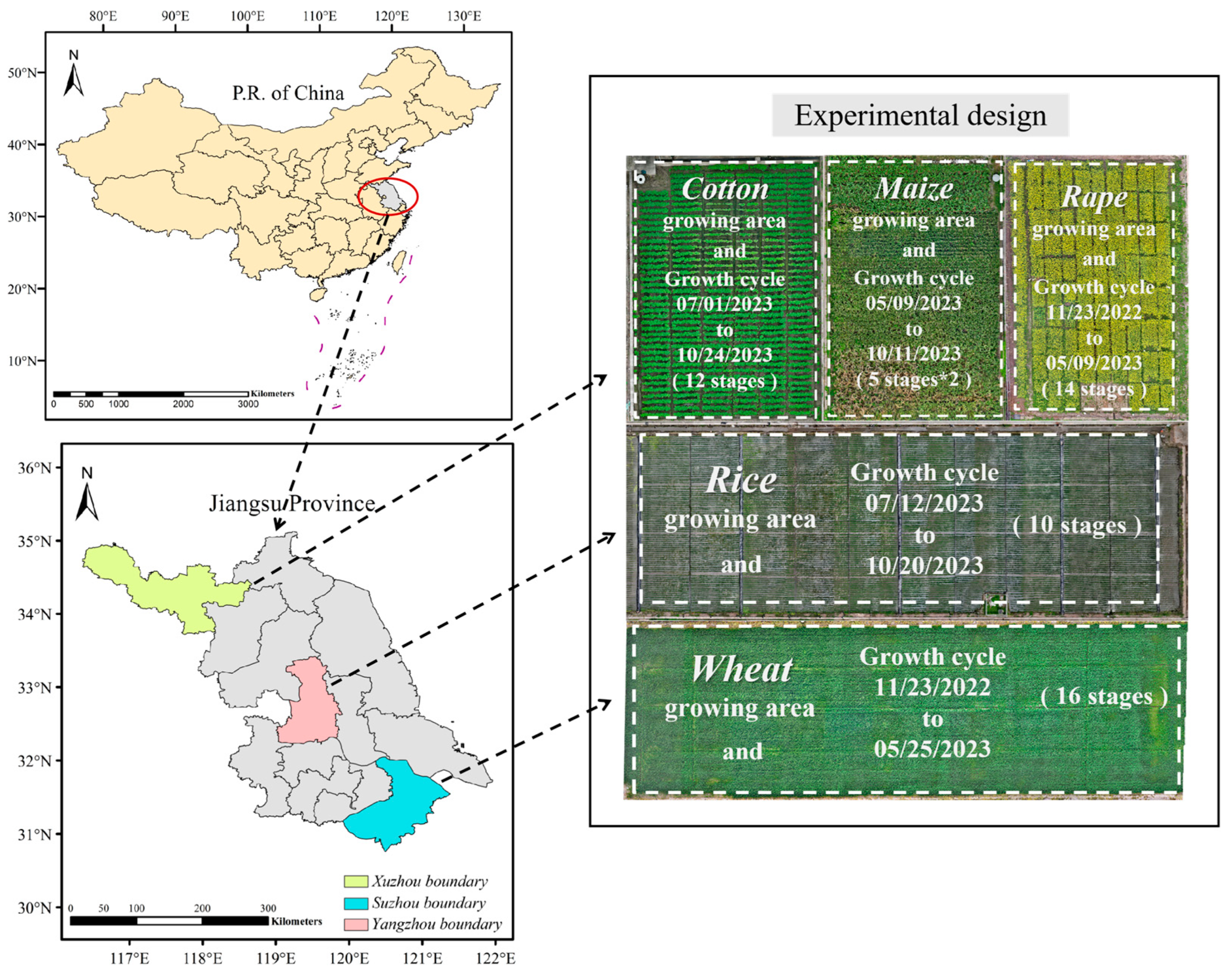 Agronomy 15 00063 g001