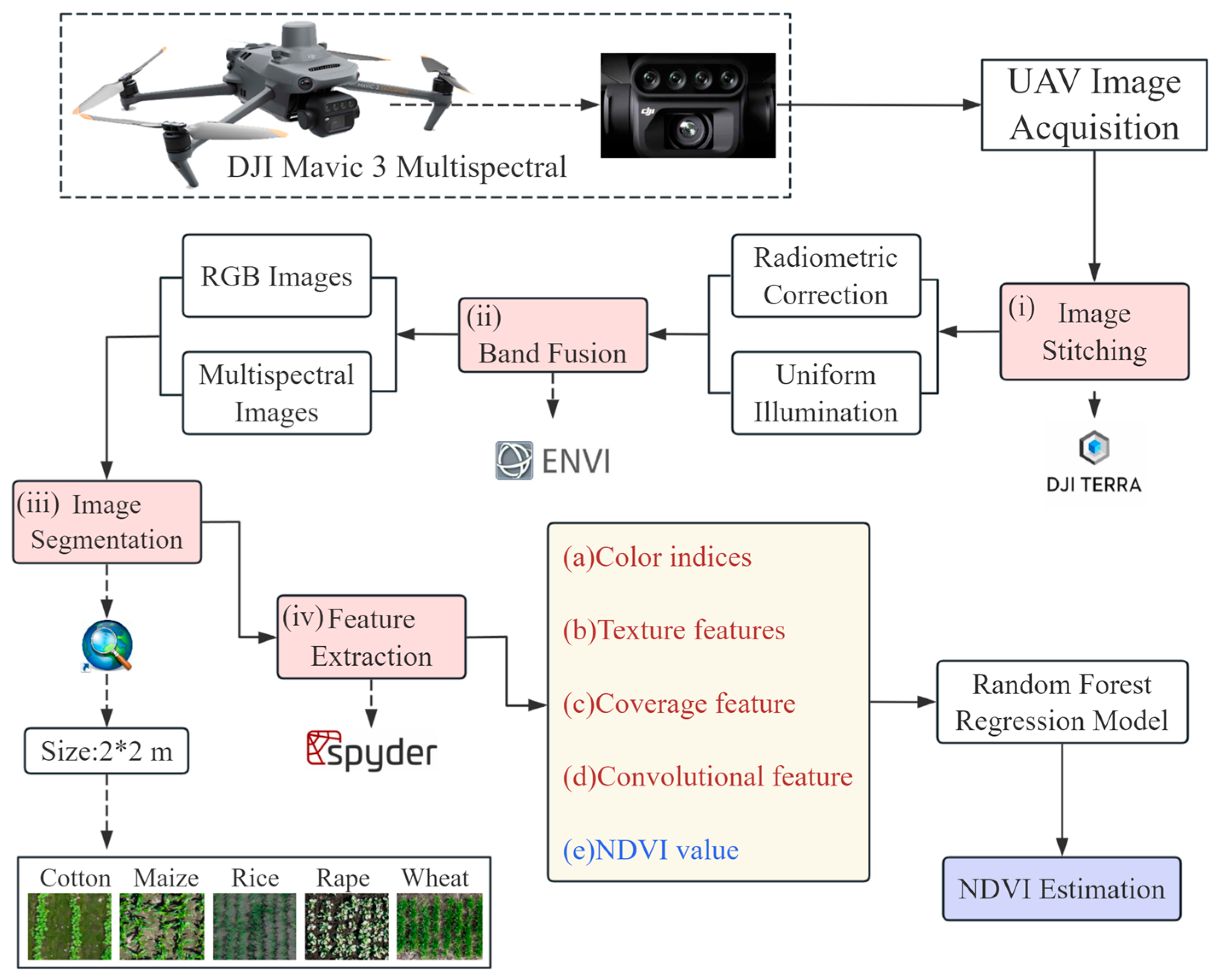 Agronomy 15 00063 g003