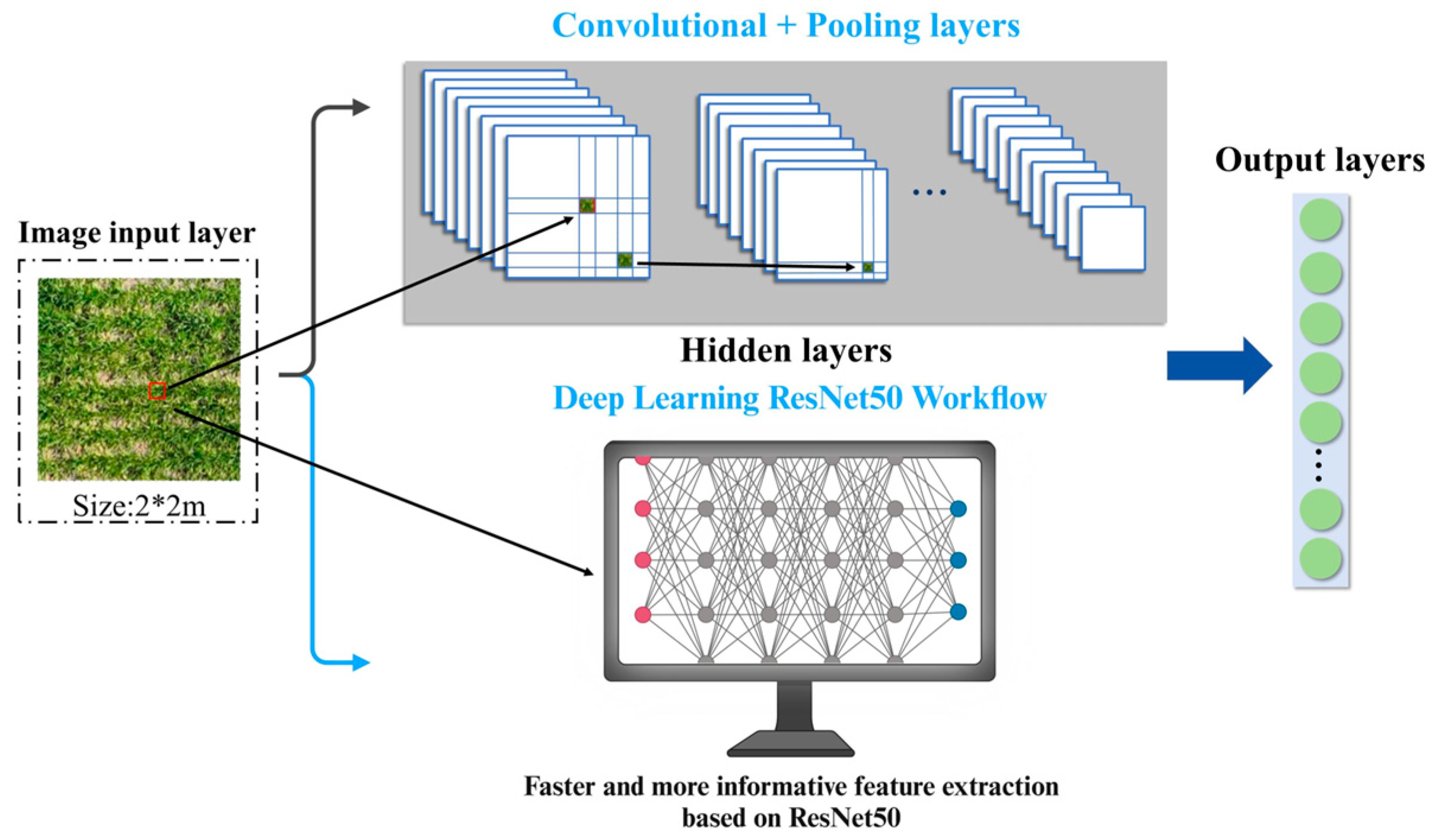 Agronomy 15 00063 g004
