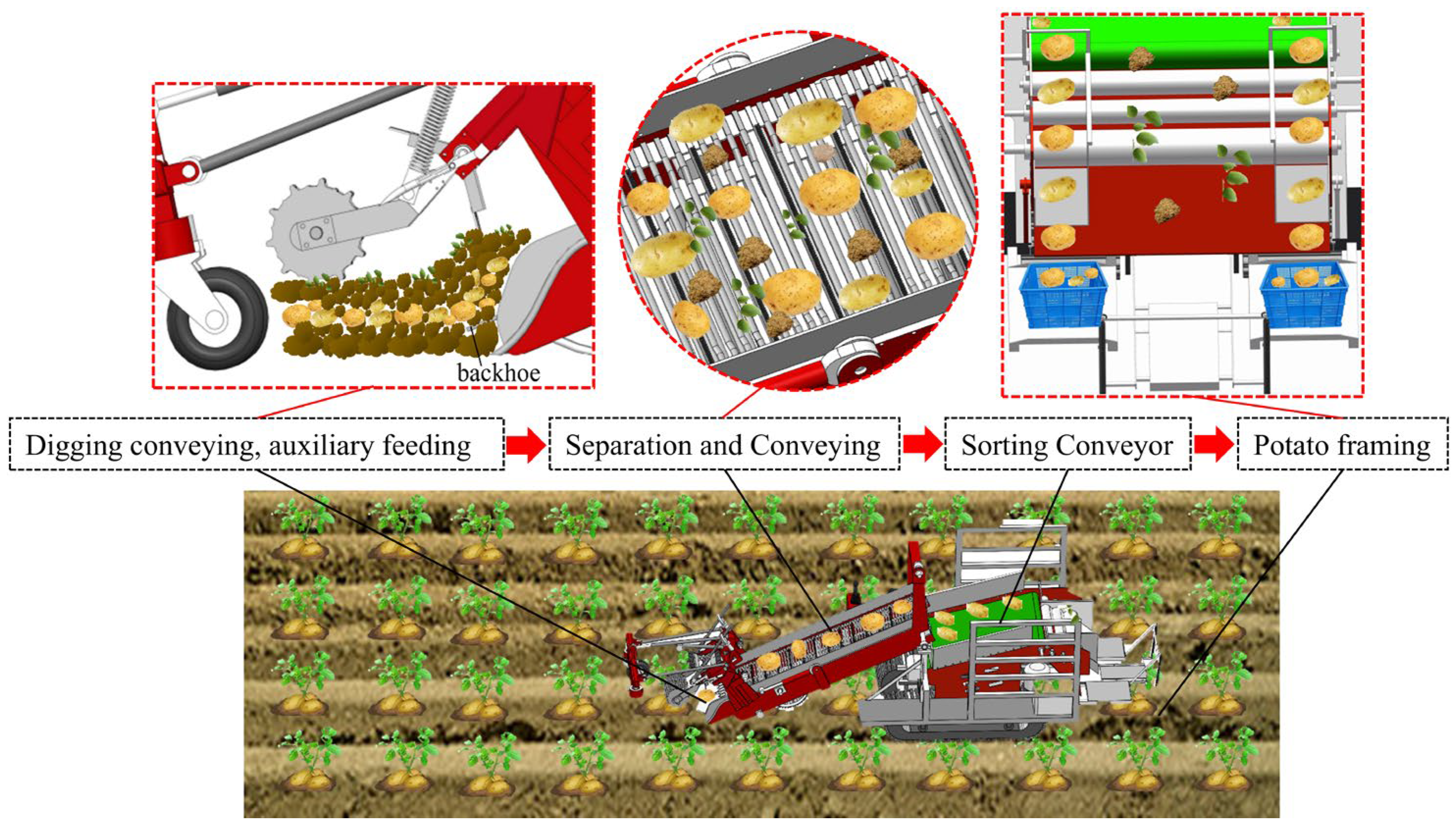 Agronomy 15 00065 g002