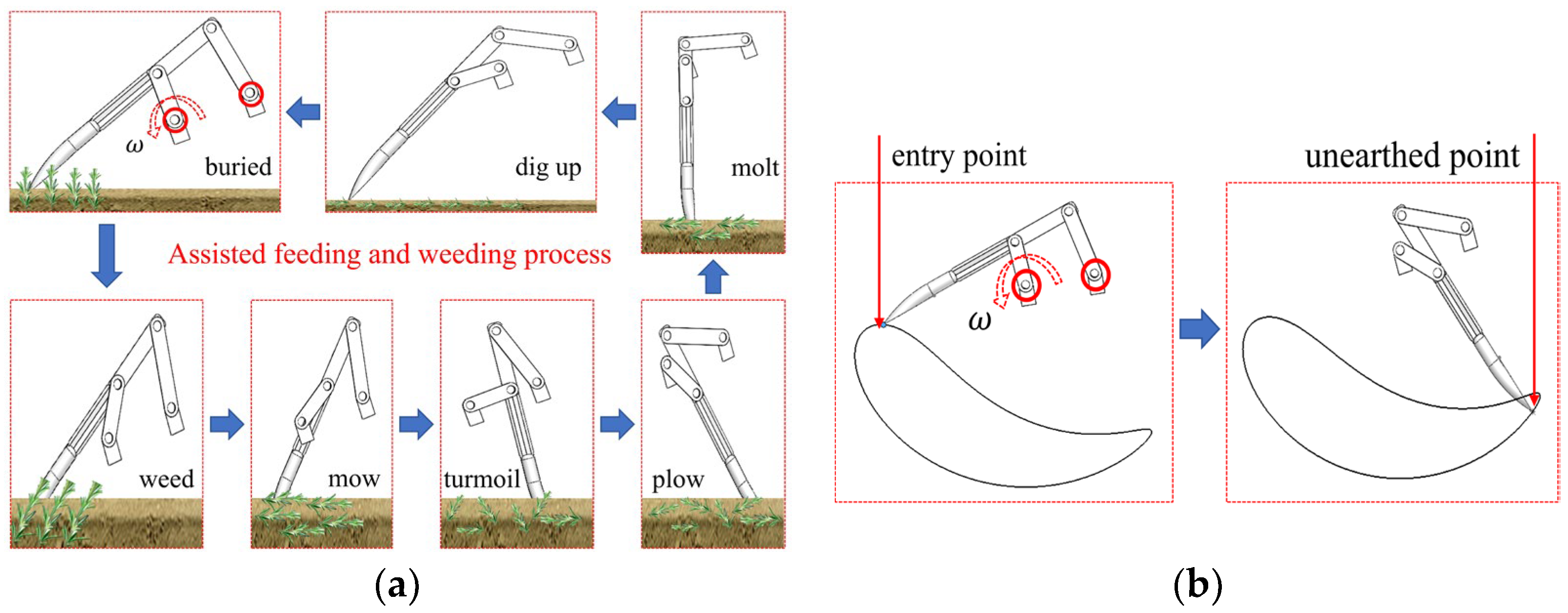 Agronomy 15 00065 g005