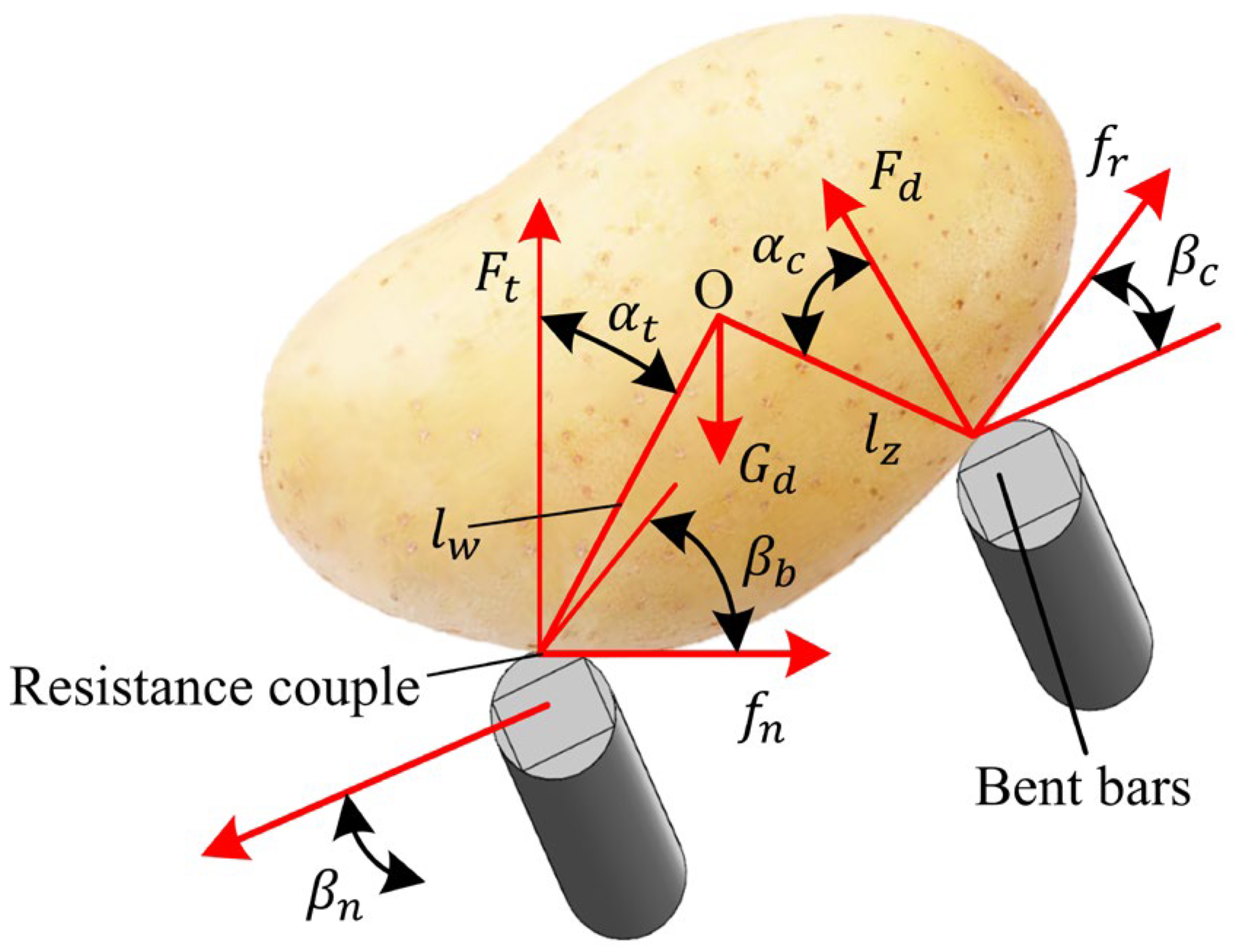 Agronomy 15 00065 g010