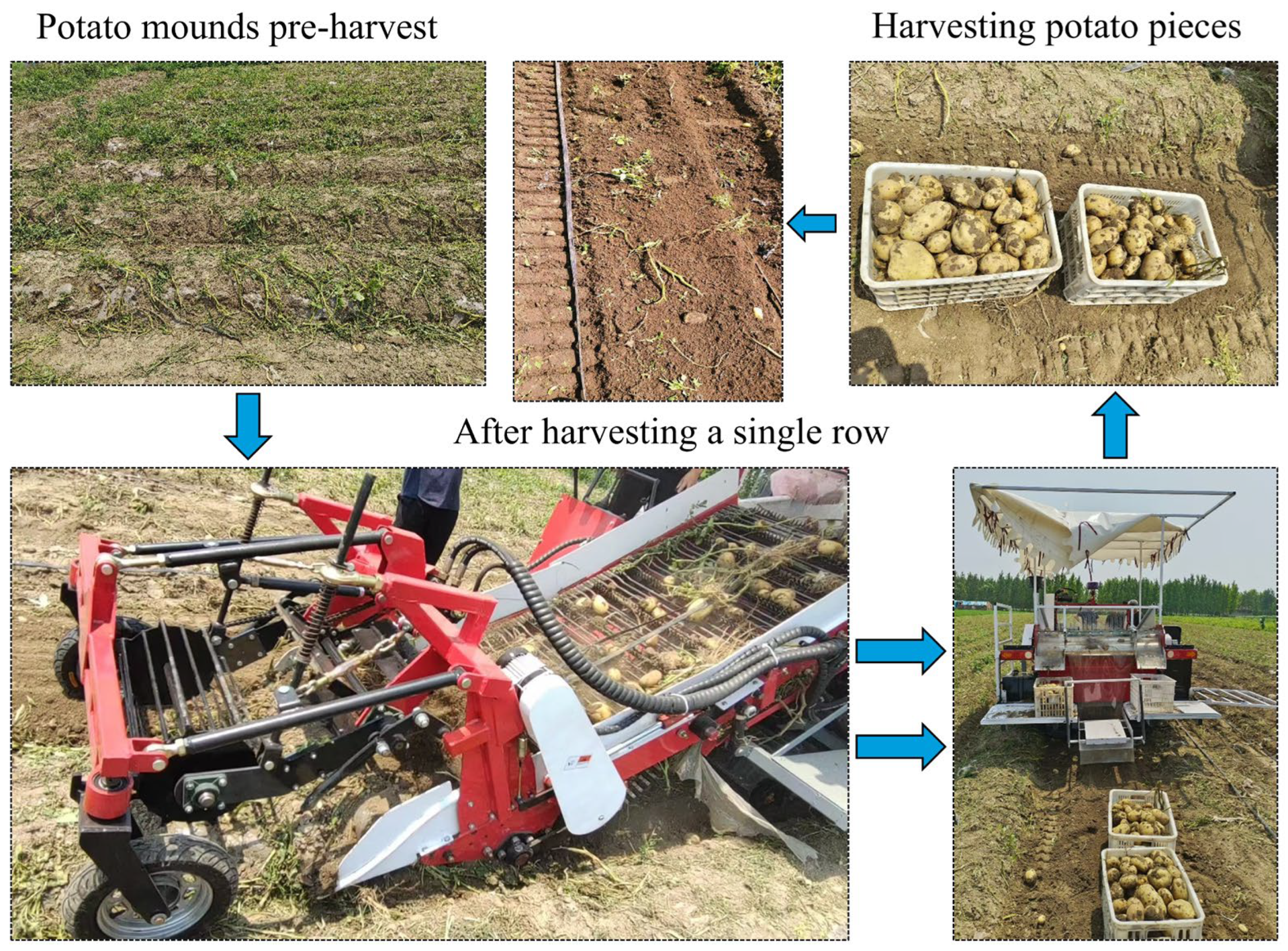 Agronomy 15 00065 g017