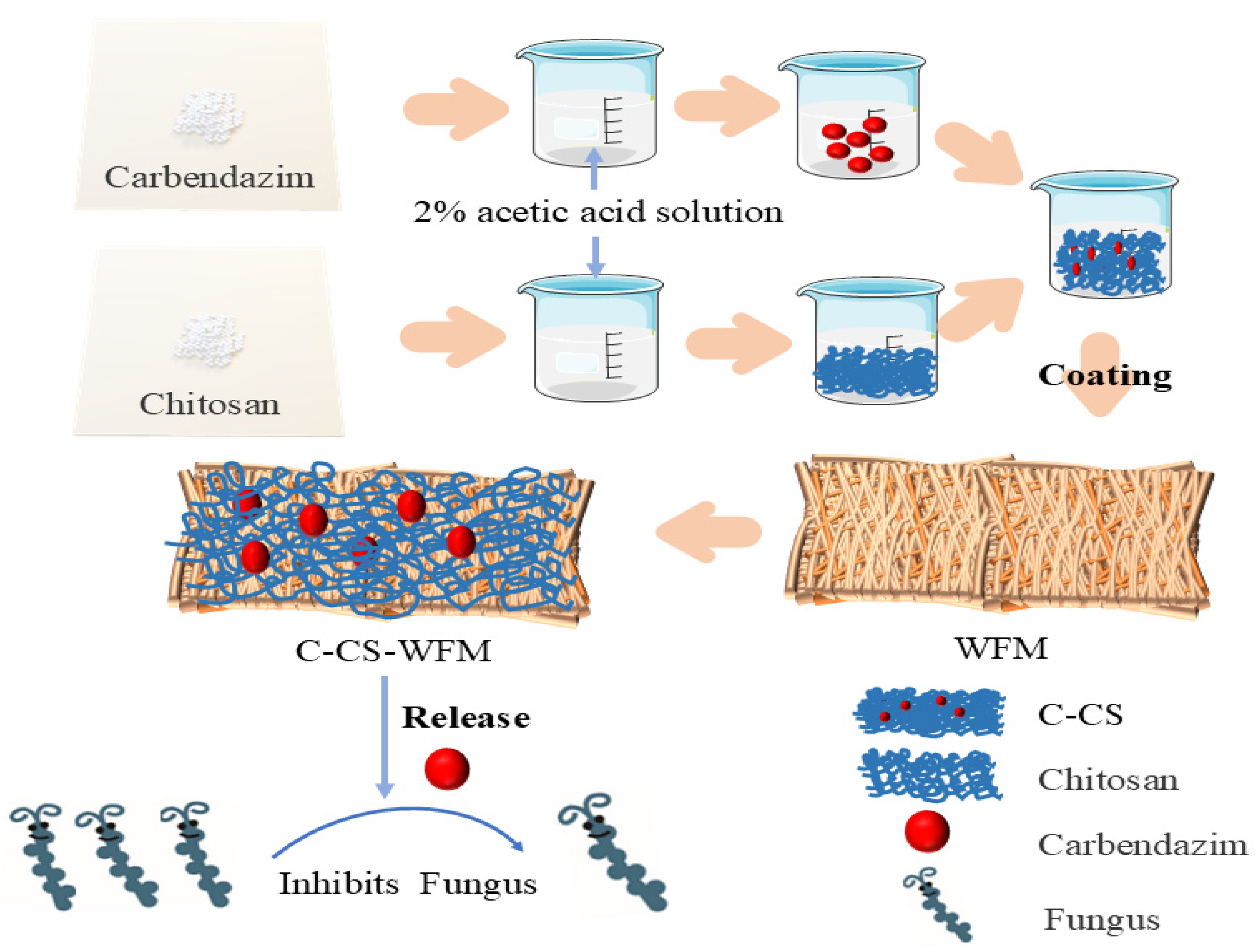 Agronomy 15 00071 g001