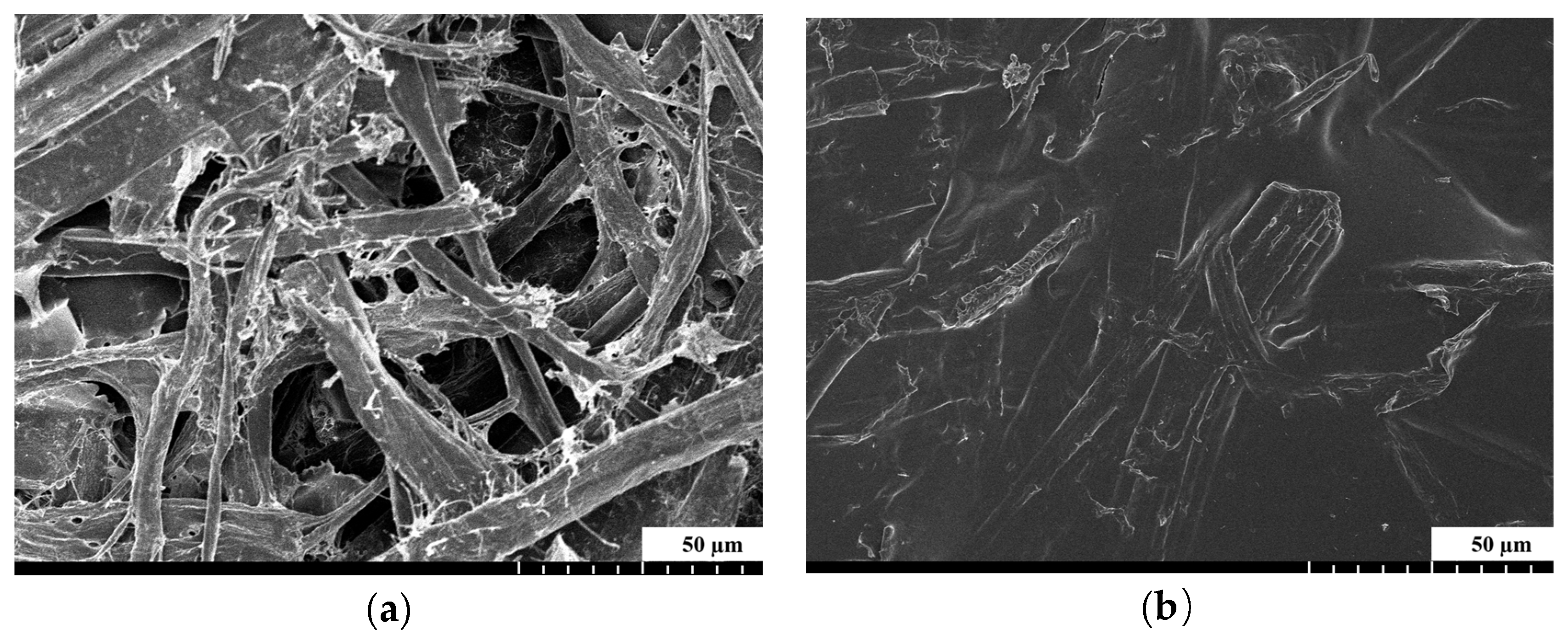 Agronomy 15 00071 g006