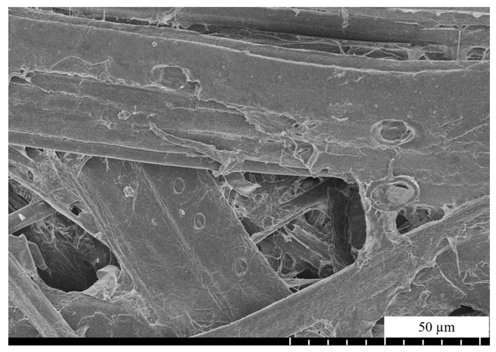 Agronomy 15 00071 g009