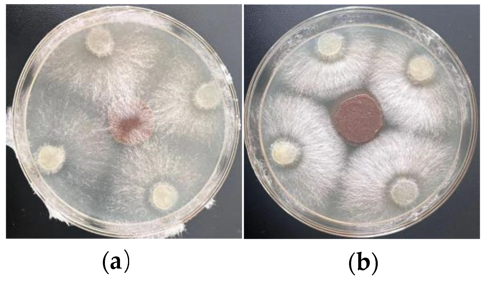 Agronomy 15 00071 g010