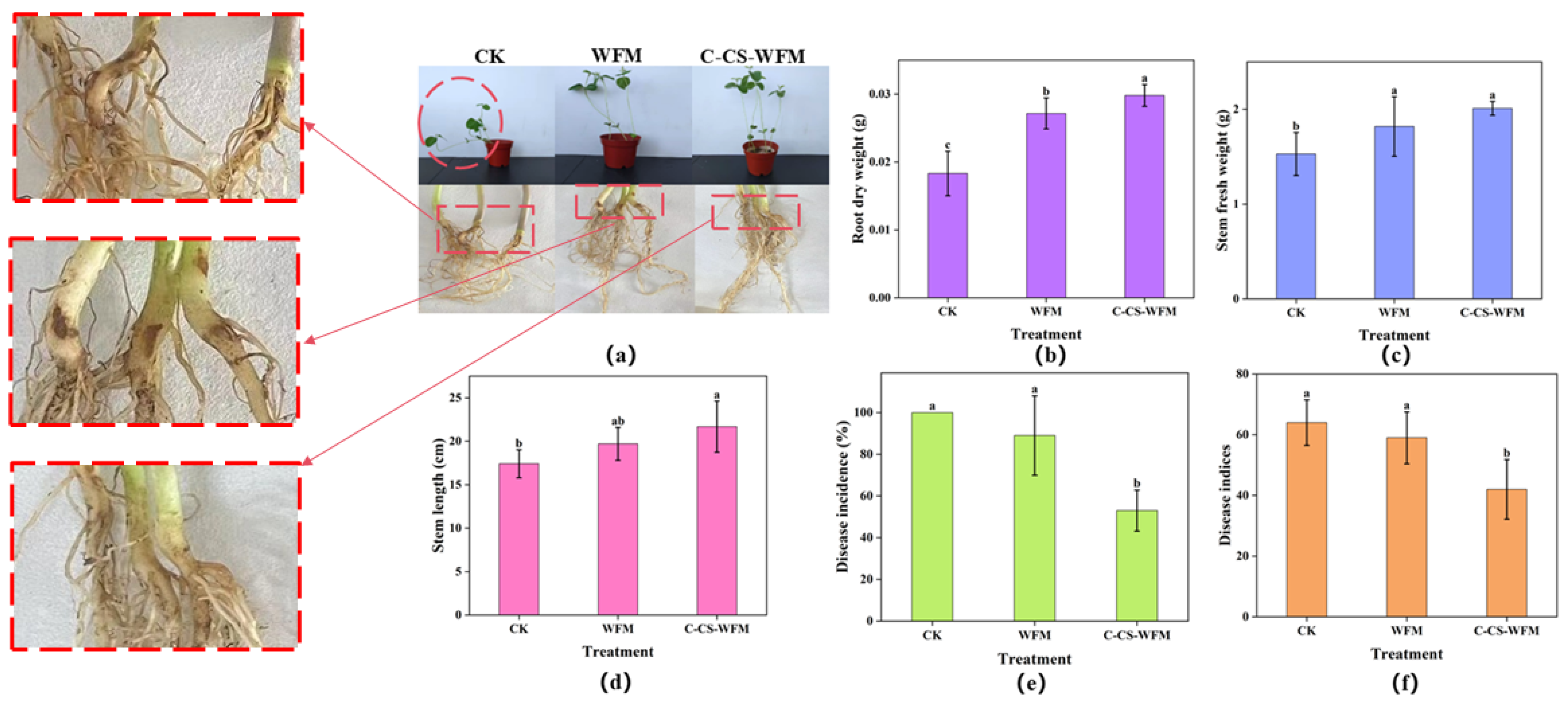 Agronomy 15 00071 g011