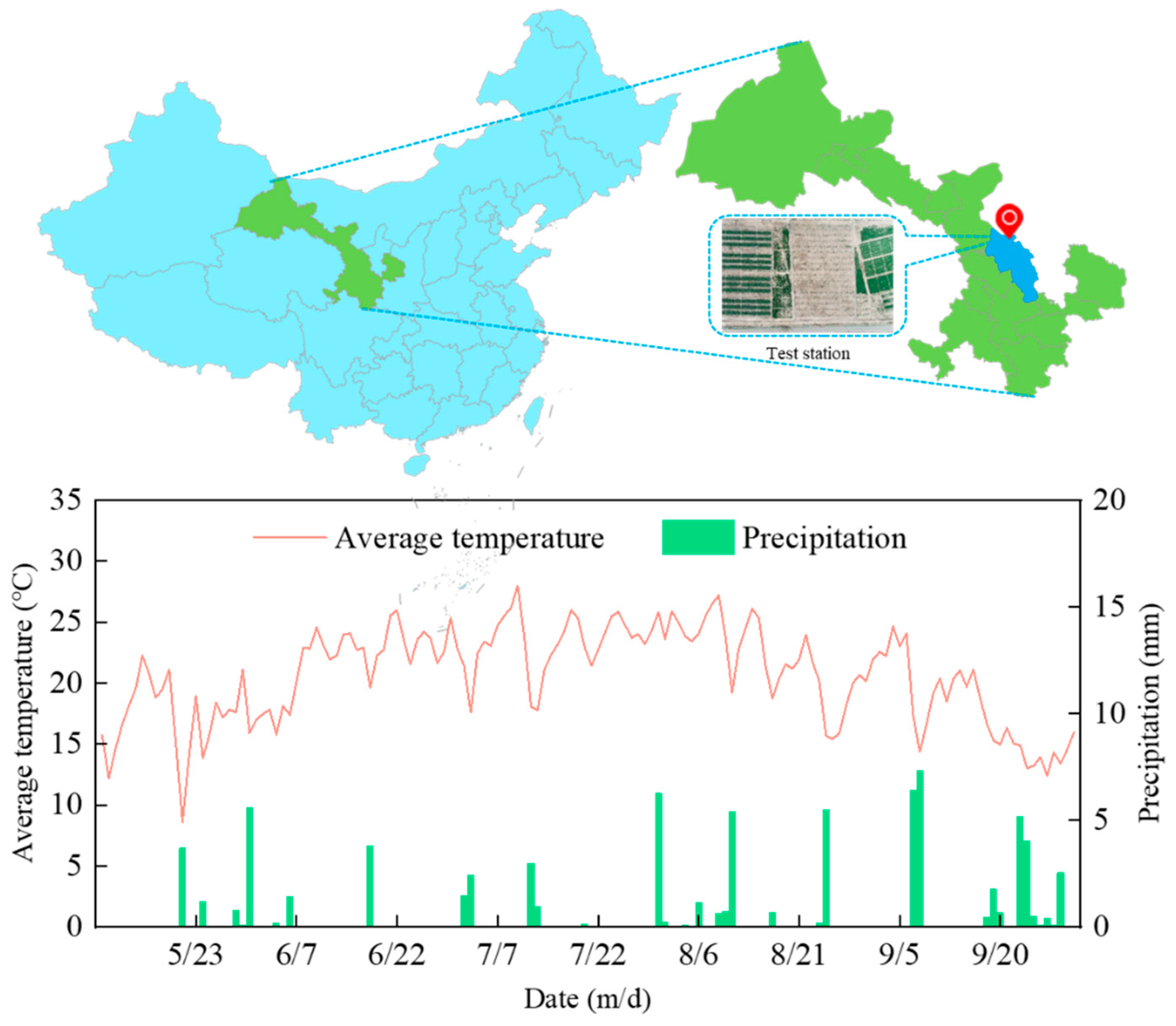 Agronomy 15 00073 g001 Agronomy 15 00073 g001