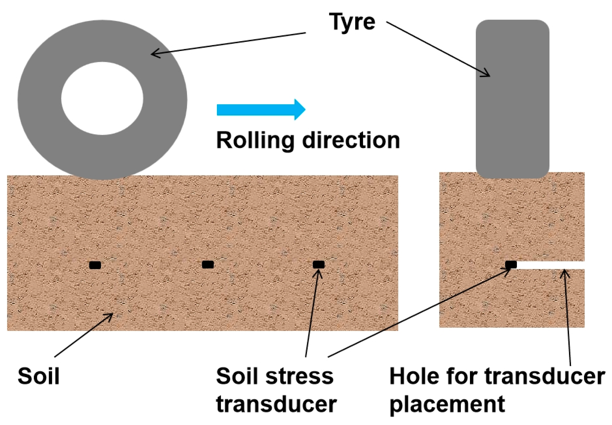 Agronomy 15 00078 g001b