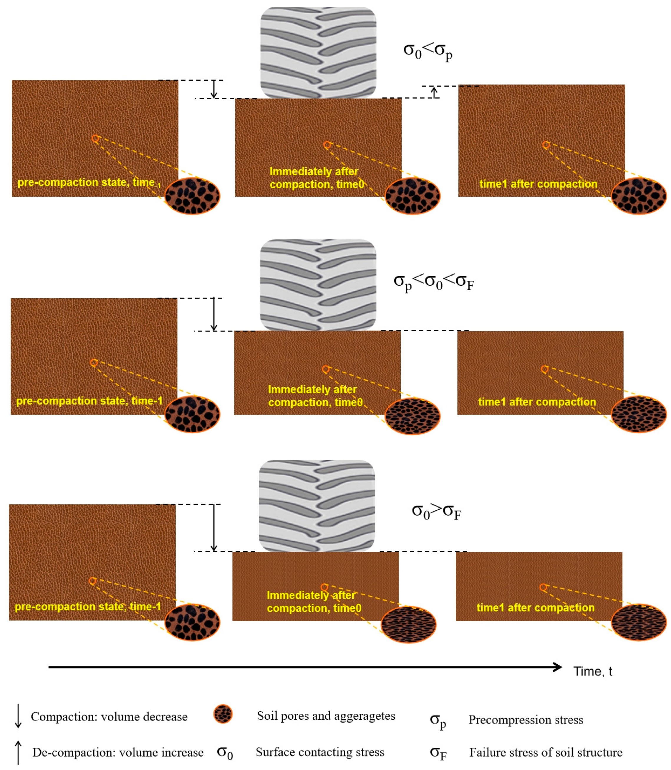 Agronomy 15 00078 g006