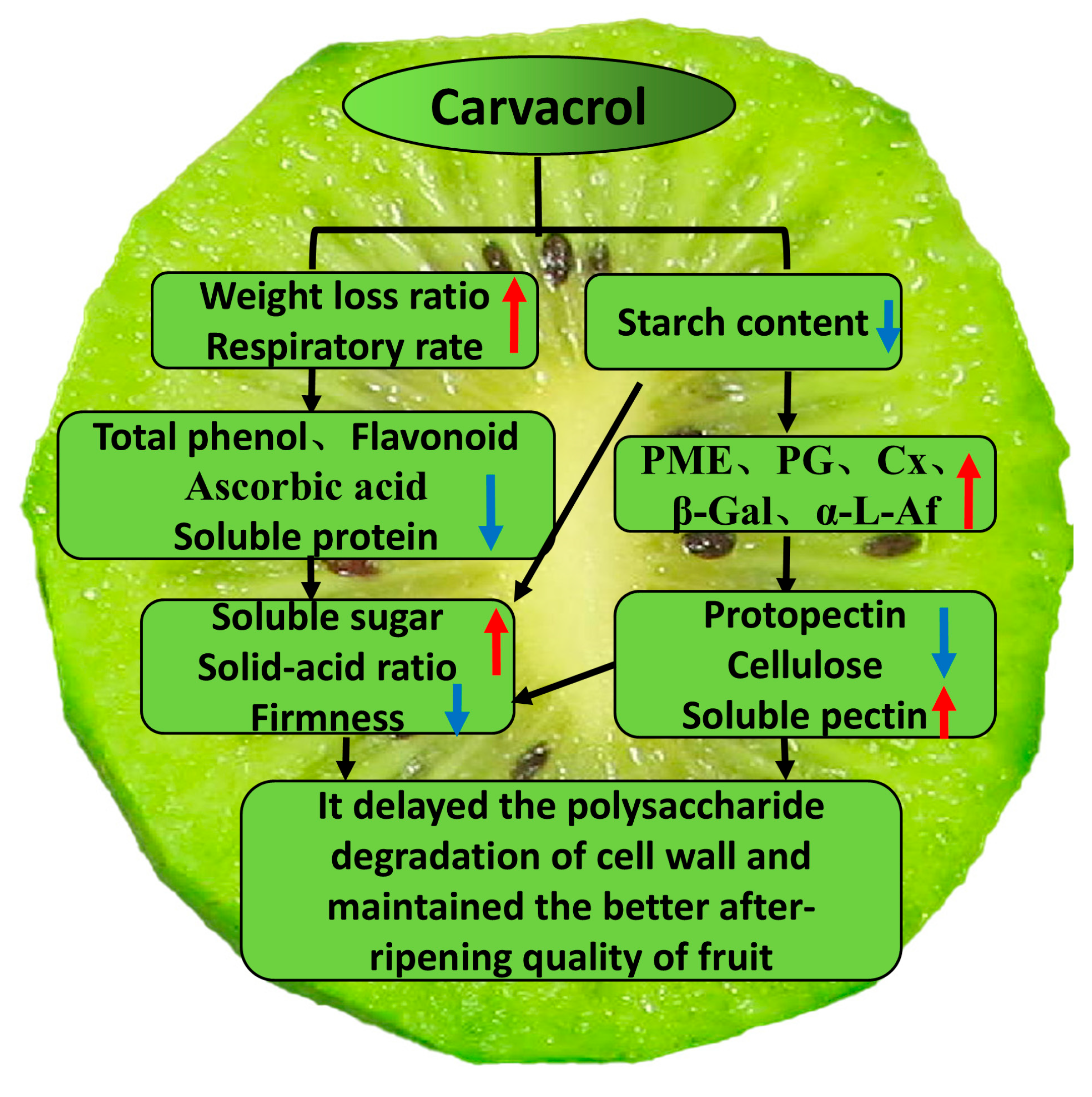 Agronomy 15 00079 g007