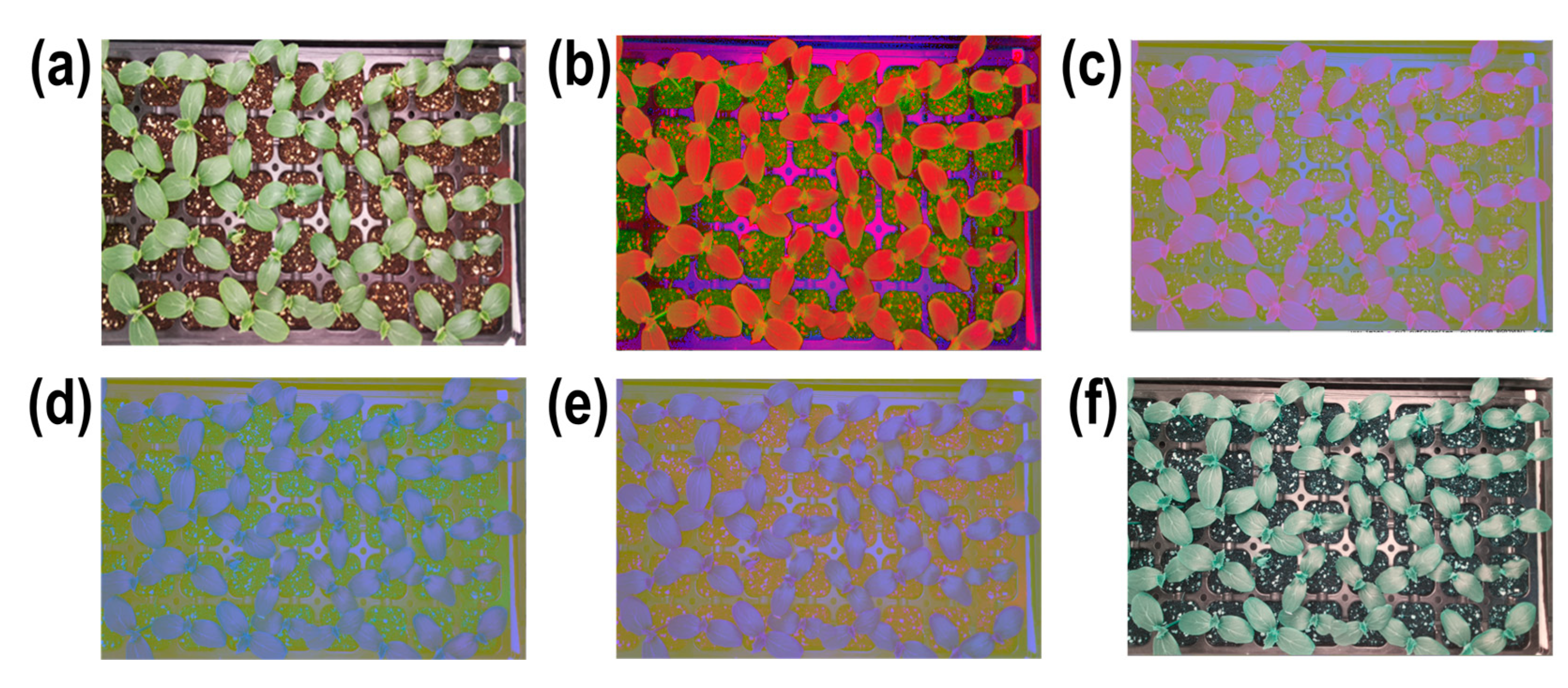 Agronomy 15 00090 g004