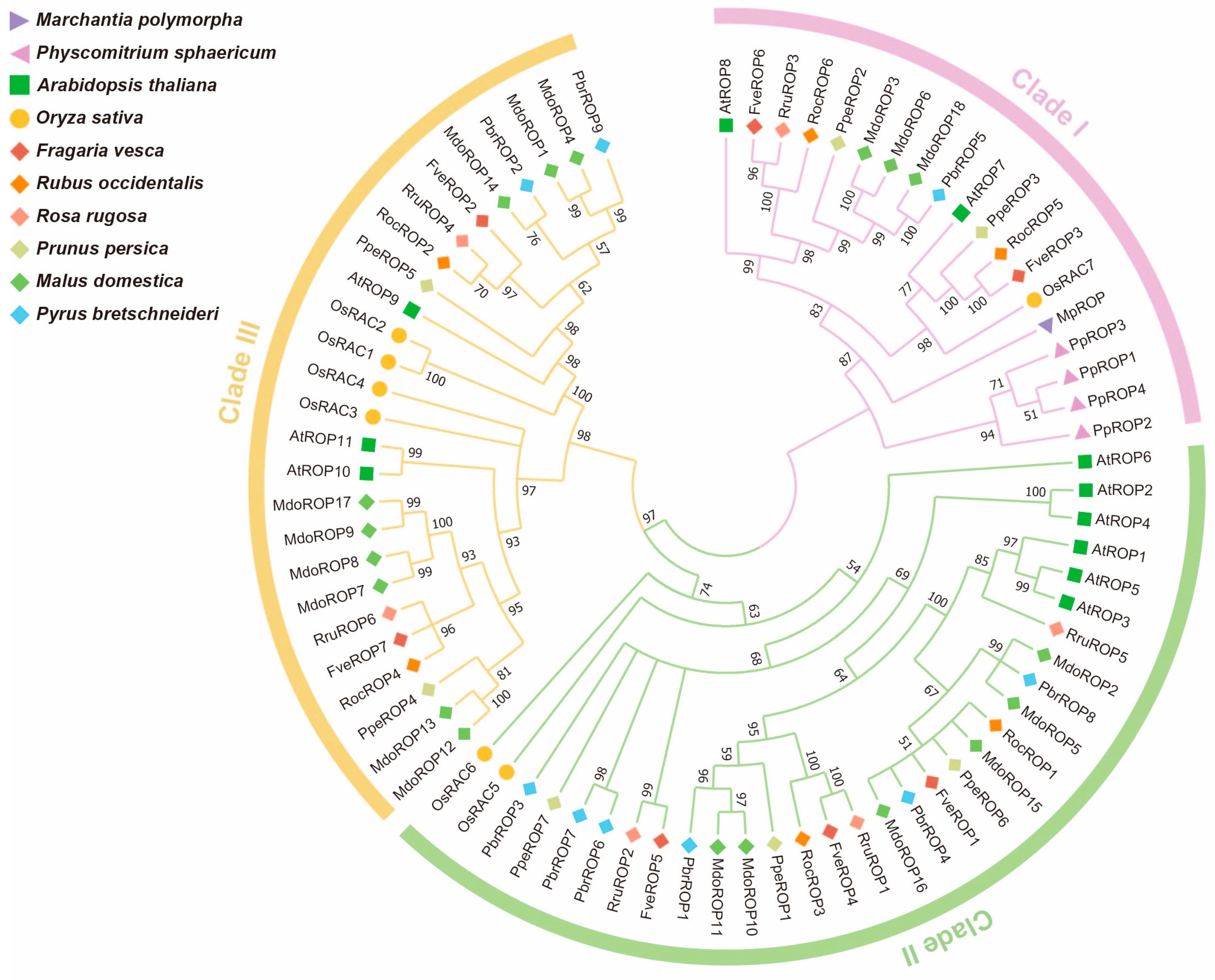 Agronomy 15 00092 g001 Agronomy 15 00092 g001