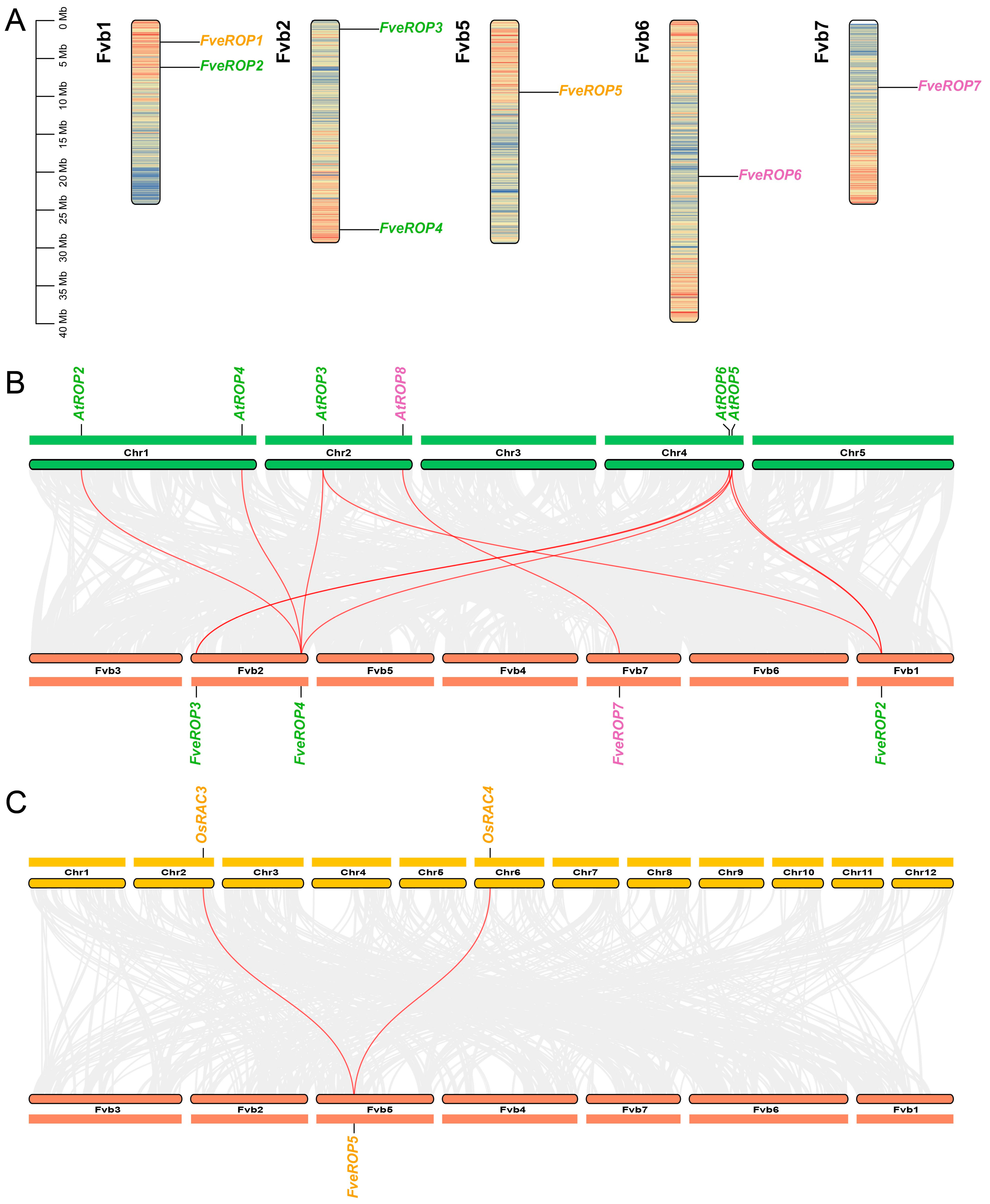 Agronomy 15 00092 g002 Agronomy 15 00092 g002