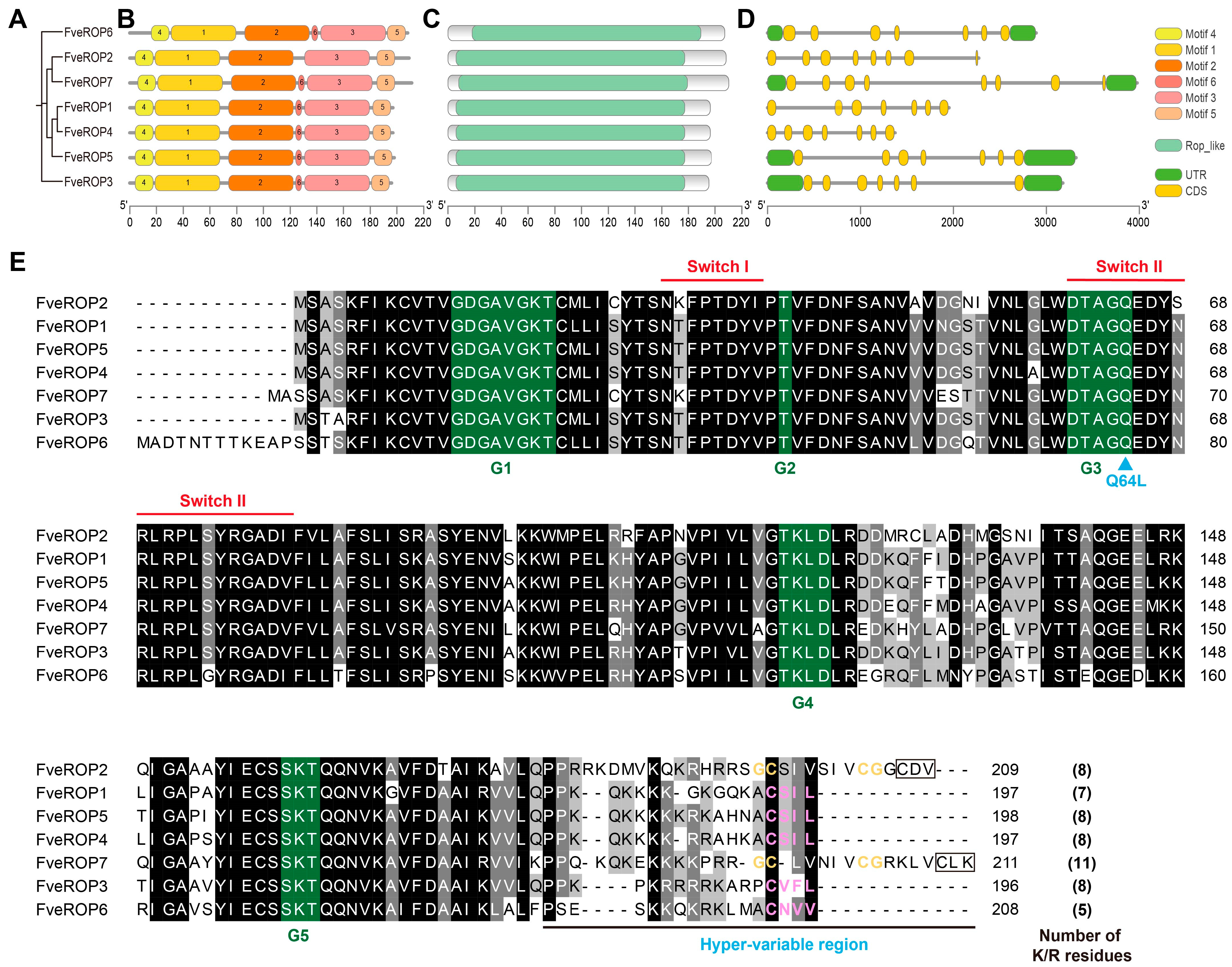Agronomy 15 00092 g003 Agronomy 15 00092 g003