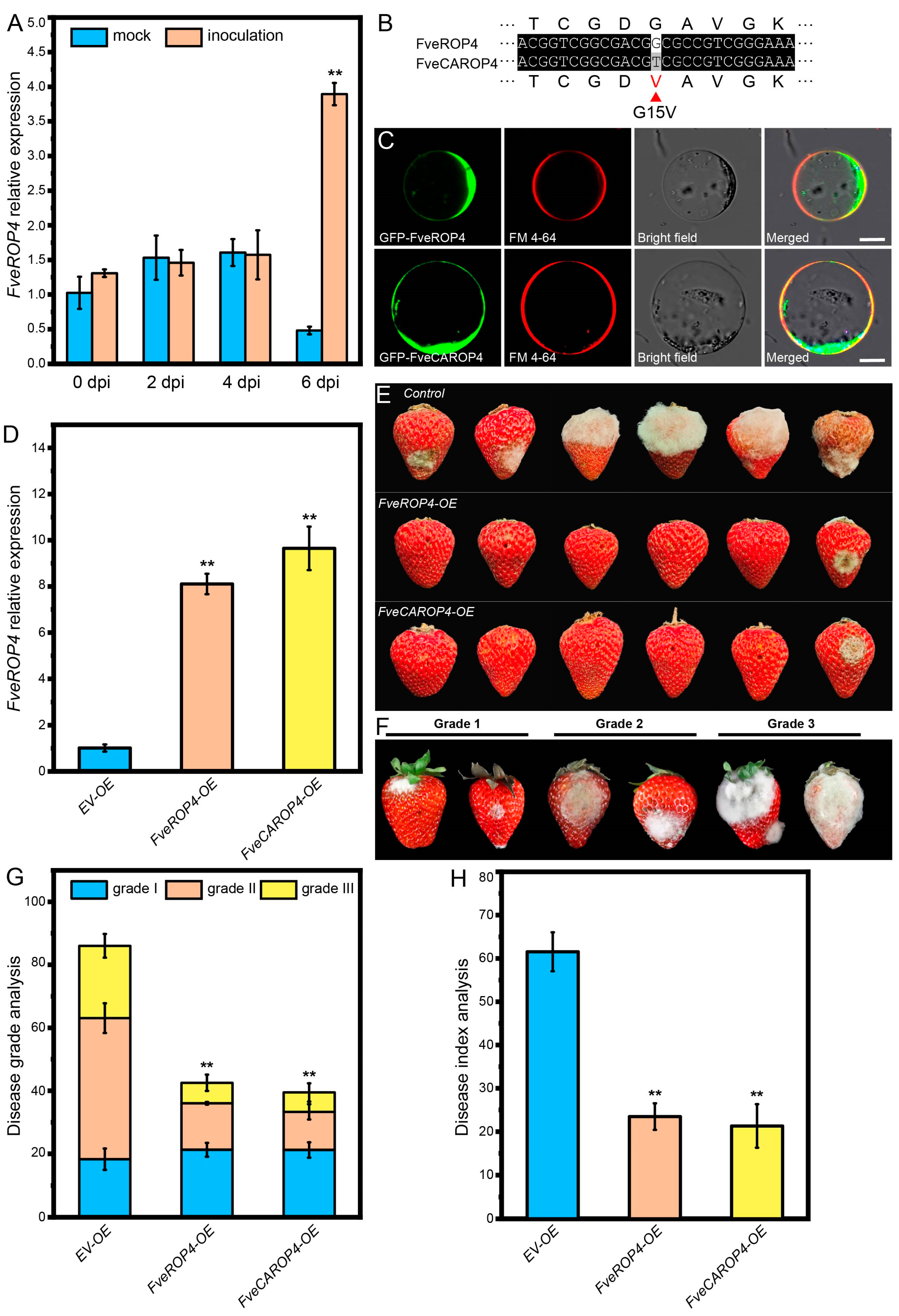 Agronomy 15 00092 g006 Agronomy 15 00092 g006