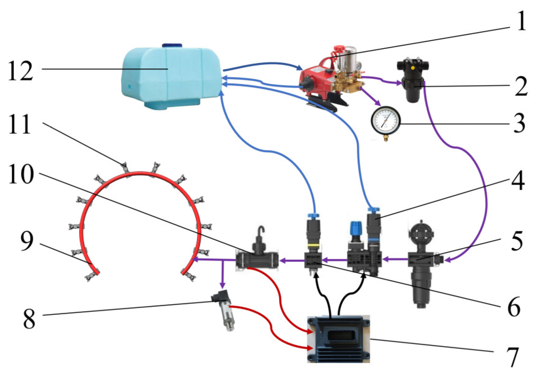 Agronomy 15 00095 g005