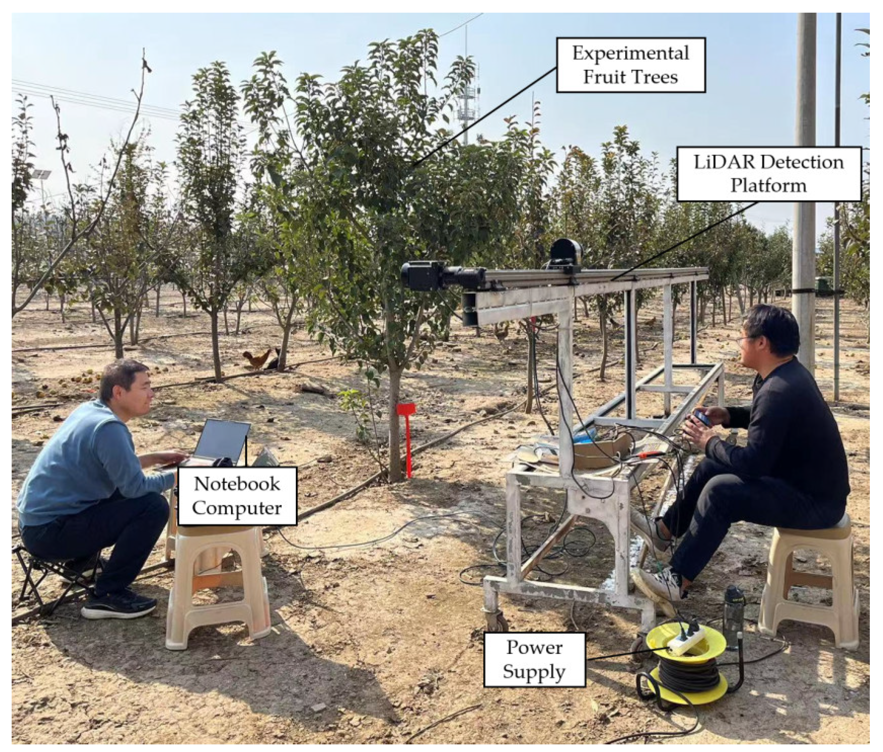 Agronomy 15 00095 g006